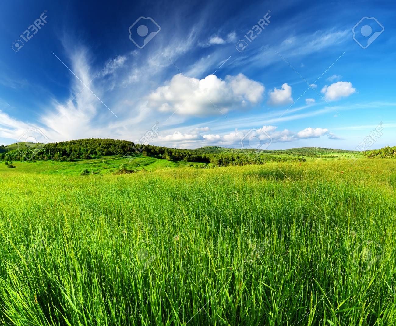 Green field and sky with clouds. Beautiful summer landscape - 41546465 Green field and sky with clouds. Beautiful summer landscape - 41546465