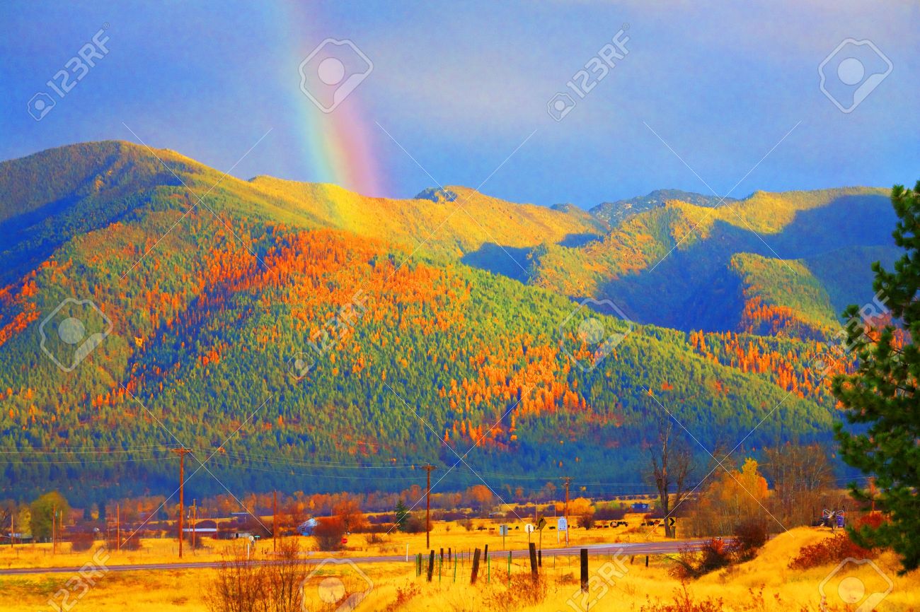 4075916-Montana-Gold-Abstract-Rainbow-Over-Tamarack-Trees-Fall-Missoula-Montana-Stock-Photo.jpg