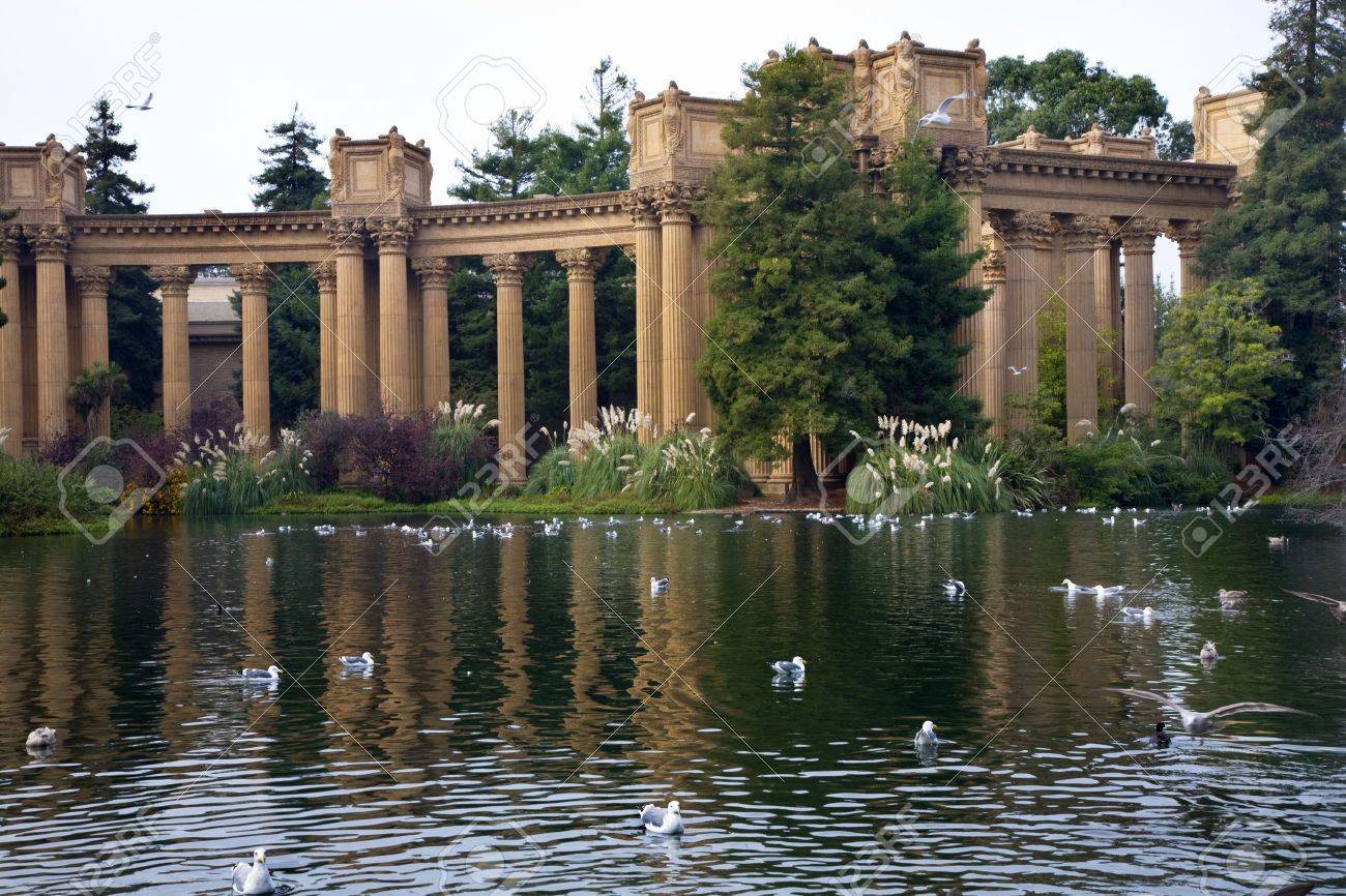 Grecian Columns Seagulls Water Reflections Palace Of Fine Arts