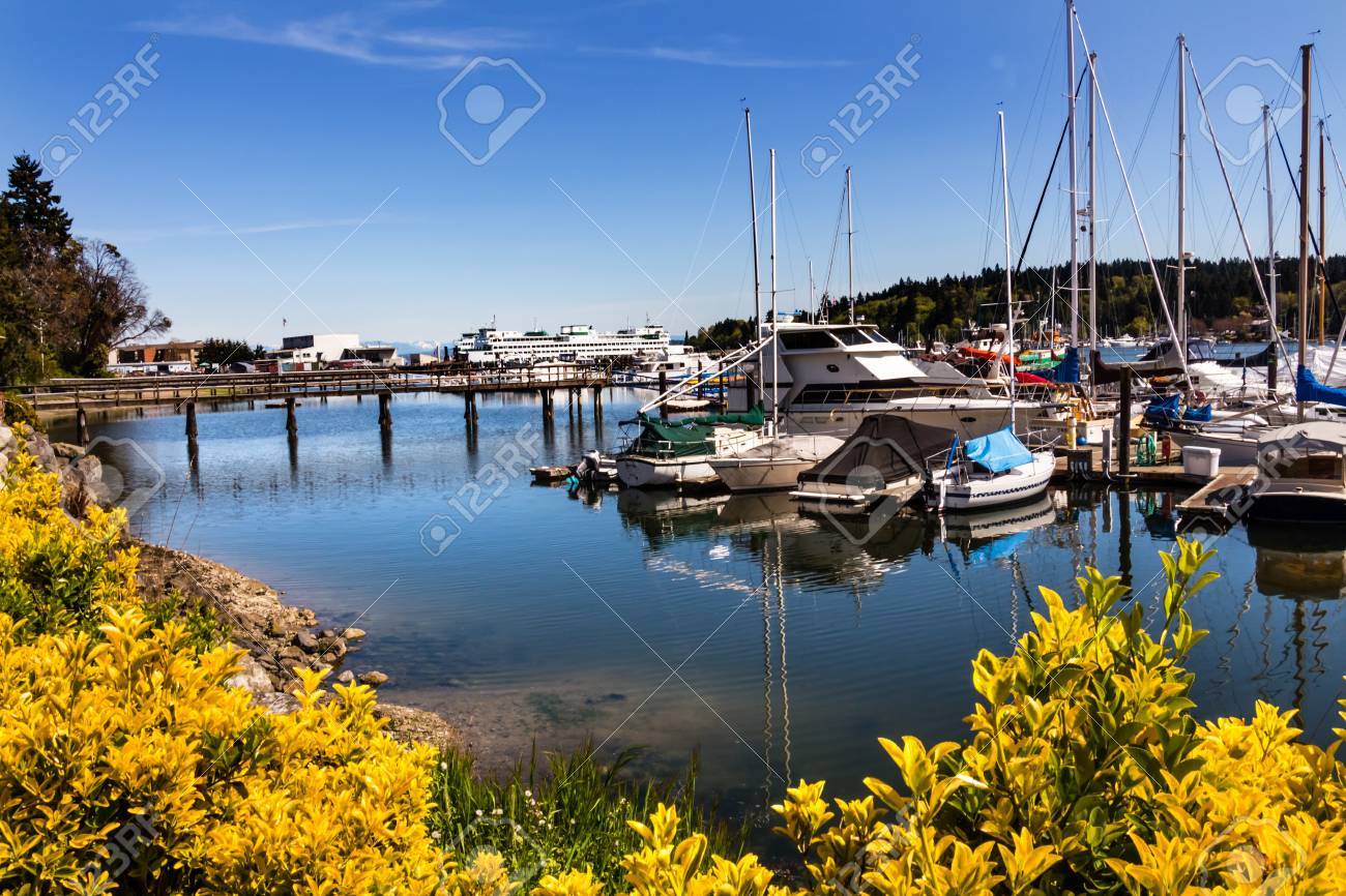 ベイン ブリッジ島港ドック桟橋ヨット ワシントン太平洋岸北西部 の写真素材 画像素材 Image 2452