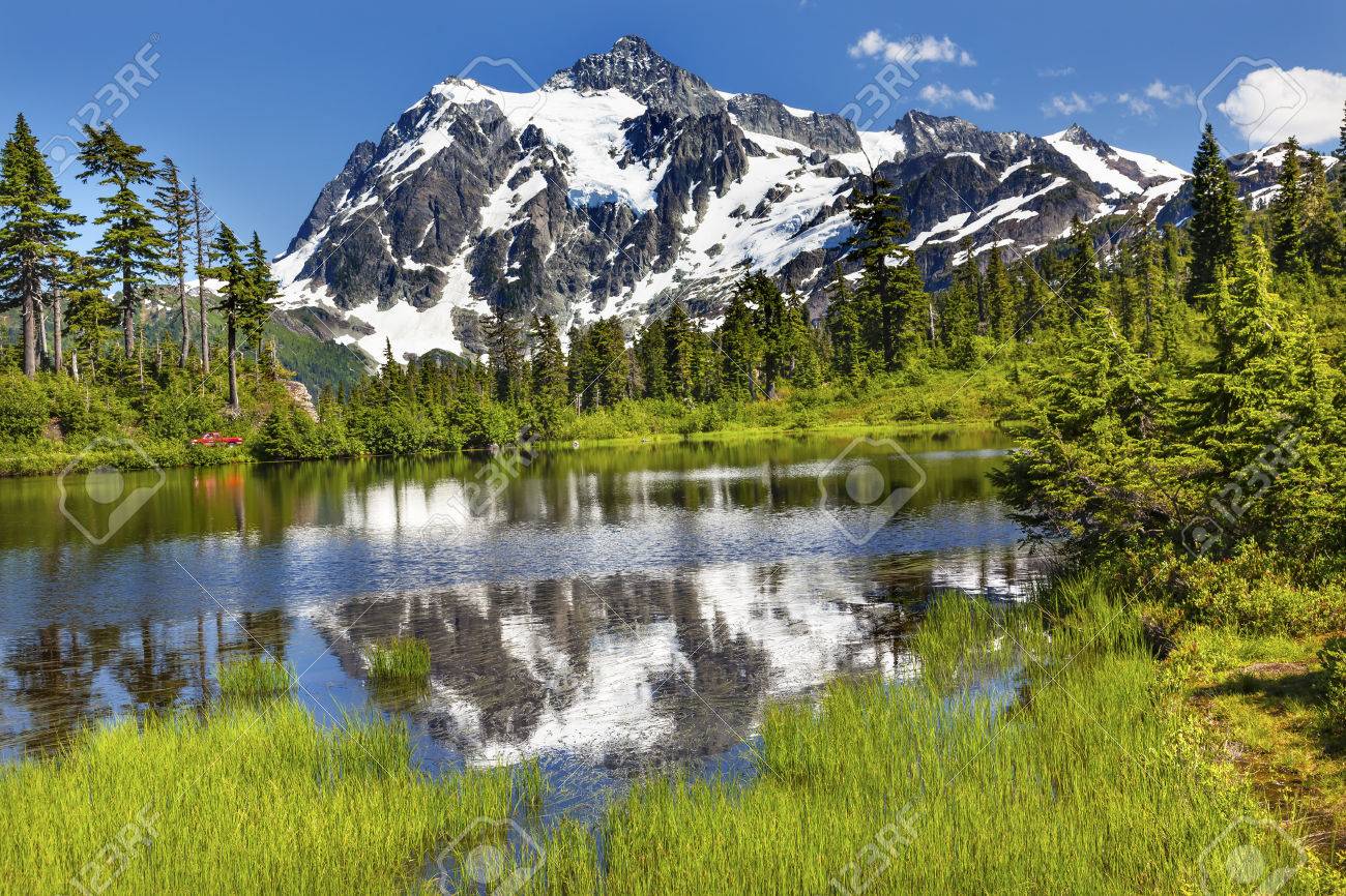 Picture See Evergreens Berg Shuksan Mount Baker Autobahn Snow Mountain Baume Washington Pazifischer Nordwesten Usa Lizenzfreie Fotos Bilder Und Stock Fotografie Image