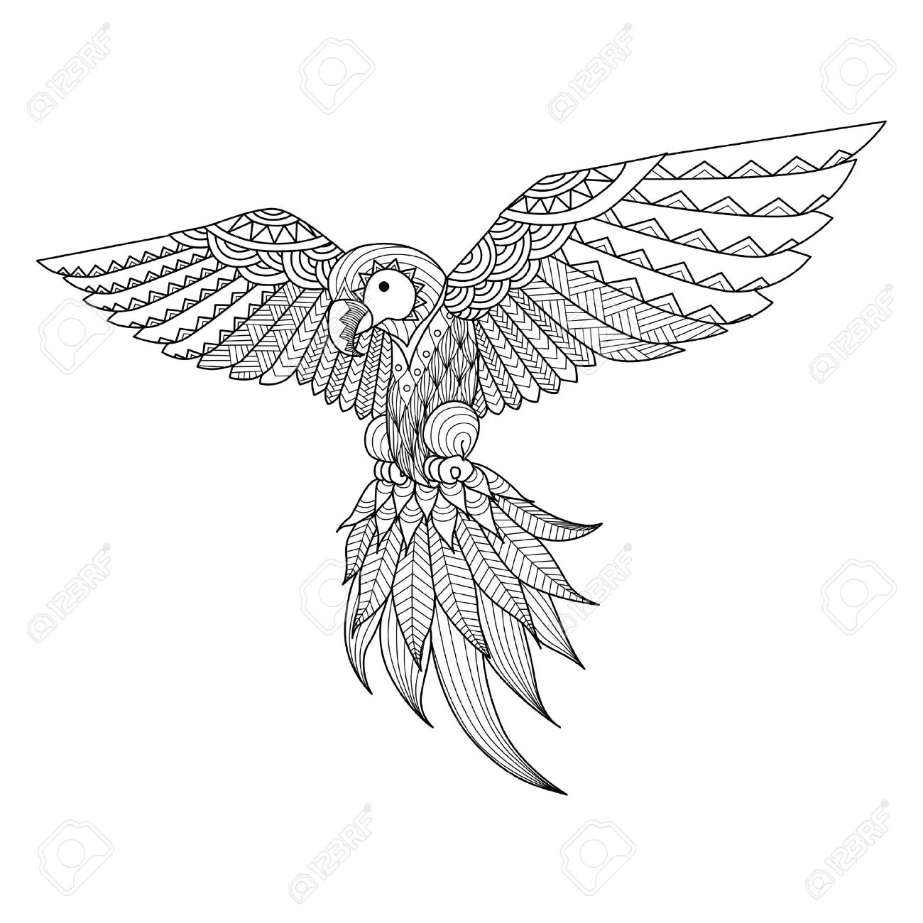 mano dibujado loro para colorear tatuaje diseo de la camisa y as sucesivamente