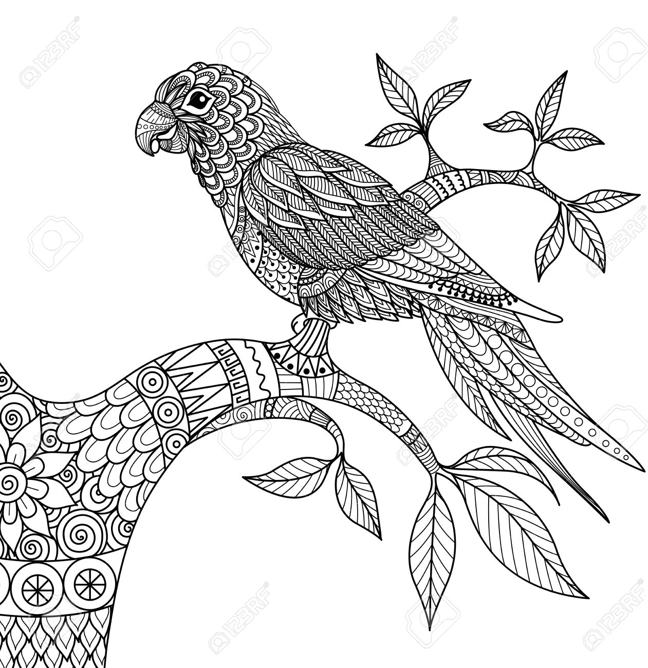 Doodle Design Of Parrot On Branch For Adult Coloring Book Royalty ... Doodle Design Of Parrot On Branch For Adult Coloring Book Royalty ...
