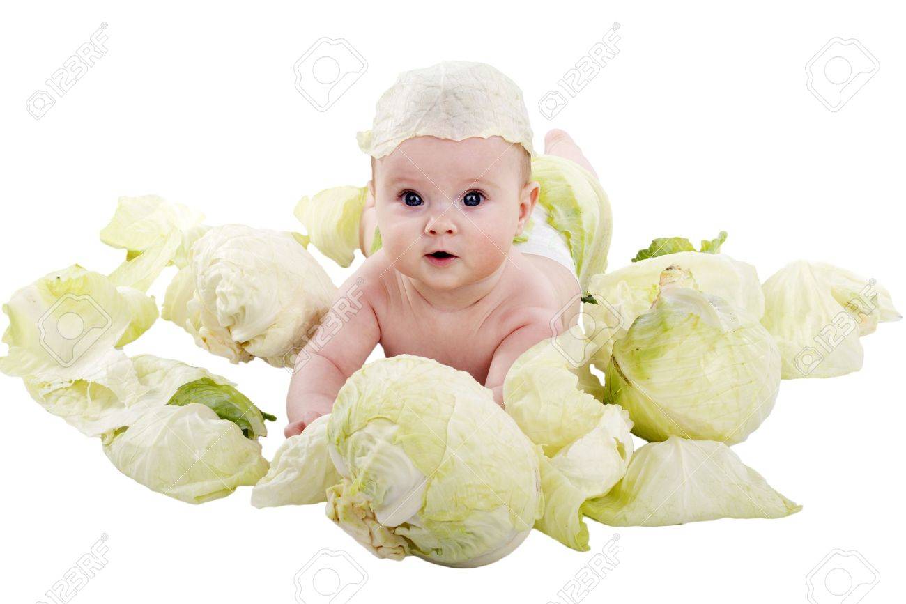 cabbage baby