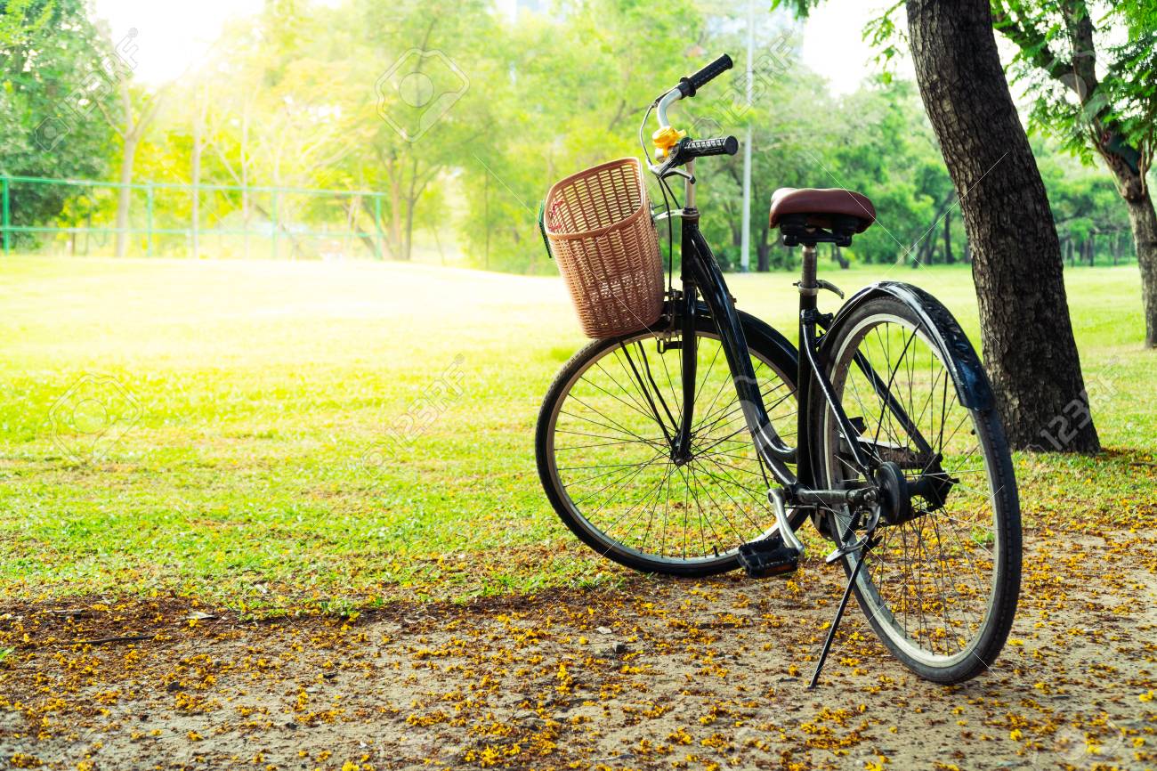 bicycle for morning exercise