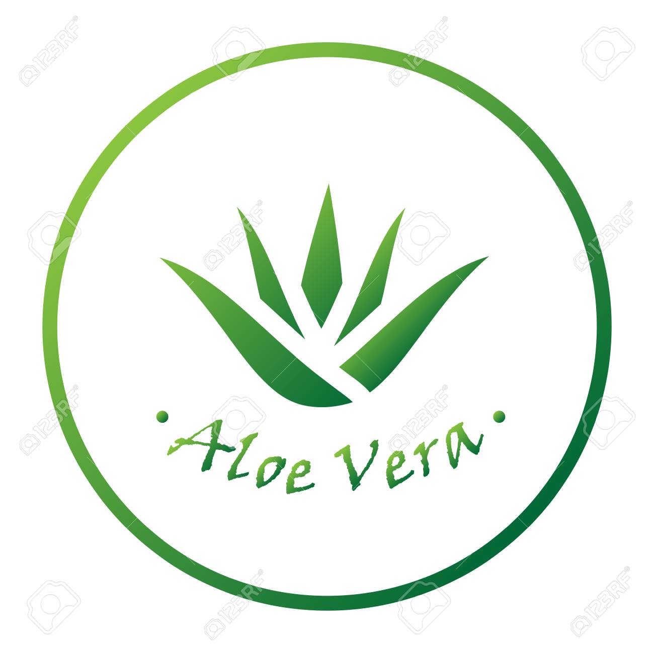 Set Of Aloe Vera Nature Leaf Icon Logo Vector Illustration Vector Beauty Logotypes Royalty Free Cliparts Vectors And Stock Illustration Image 106560293