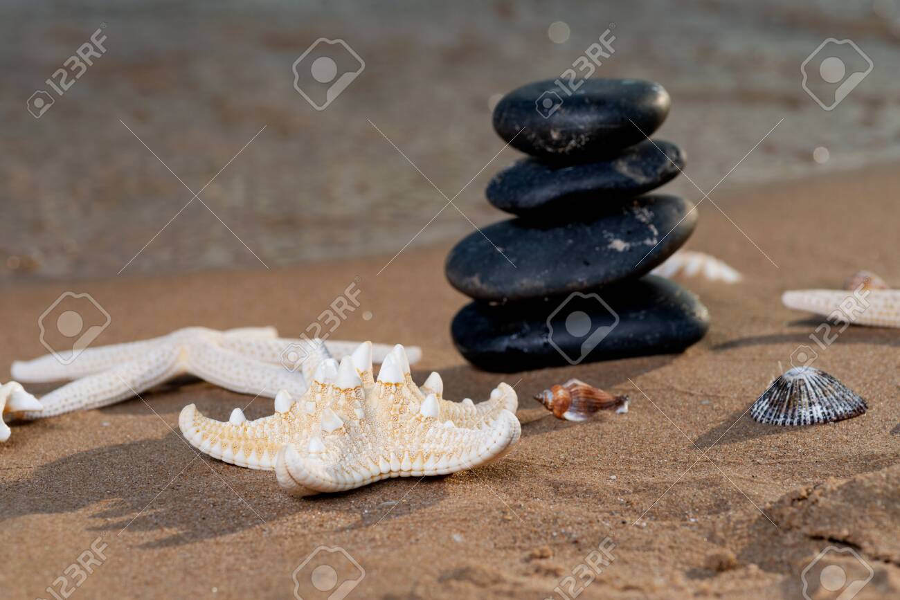 Spa composition - stacked Basalt Stones, Seashells and Sea Stars on the beach at sunrise in front of the ocean. Wellness, Balance and Relax concept. - 128873576 Spa composition - stacked Basalt Stones, Seashells and Sea Stars on the beach at sunrise in front of the ocean. Wellness, Balance and Relax concept. - 128873576