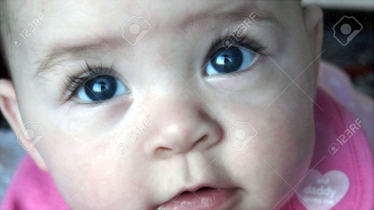 Joli Bebe Avec Des Yeux Gris Bleu Levant Les Yeux Banque D Images Et Photos Libres De Droits Image