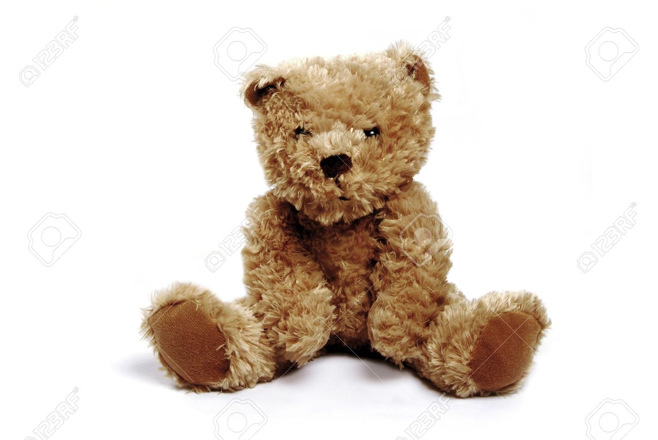 teddy bear white