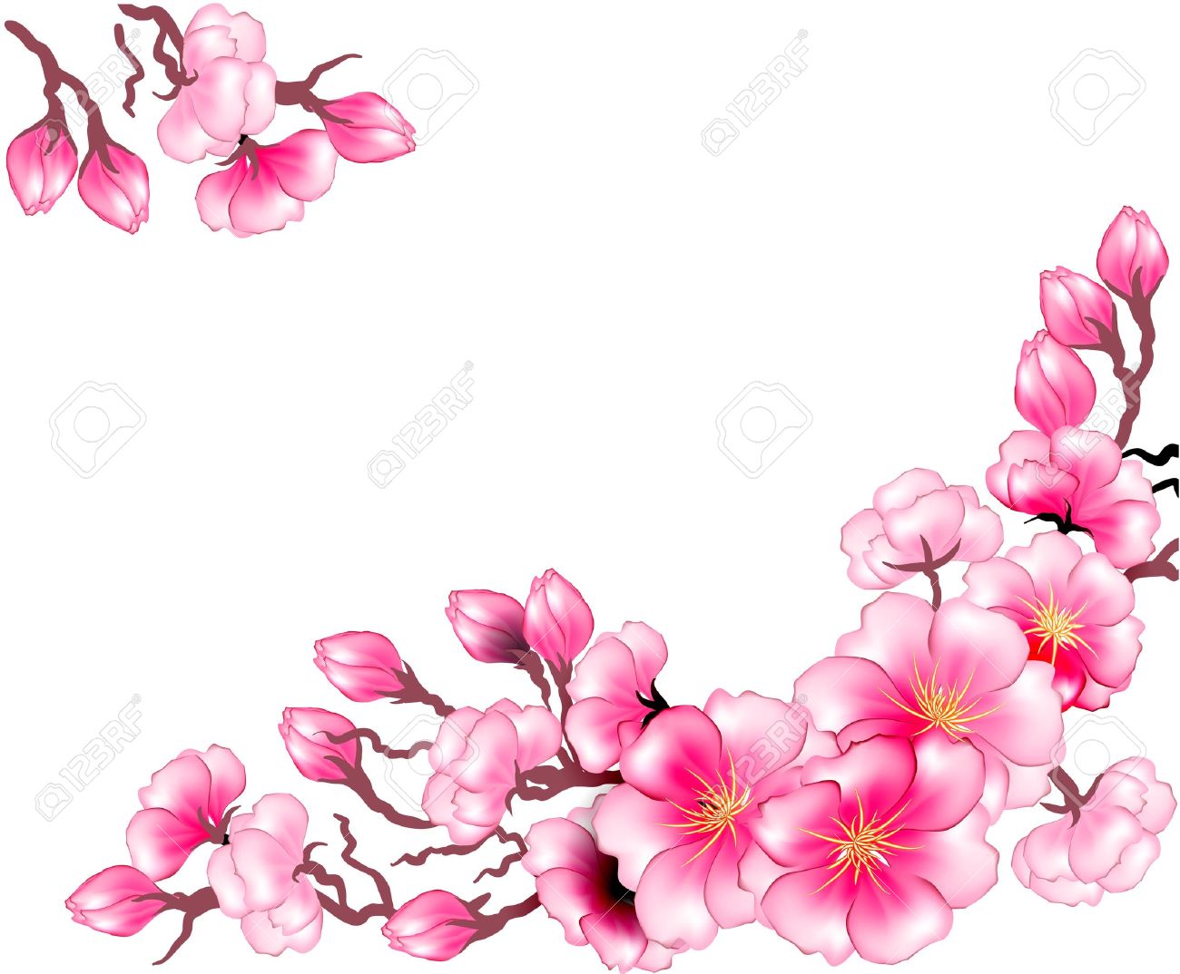 Floral Frame Template With Chrysanthemum Flowers Vector Image