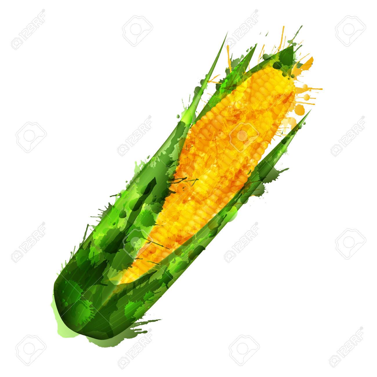 Corn cob made of colorful splashes on white background - 22961288 Corn cob made of colorful splashes on white background - 22961288