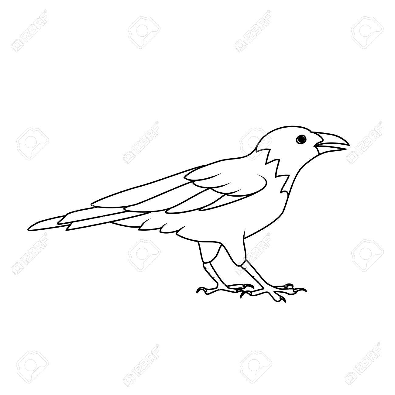 Malbuch Krahe Oder Rabe Lizenzfrei Nutzbare Vektorgrafiken Clip Arts Illustrationen Image 47538067