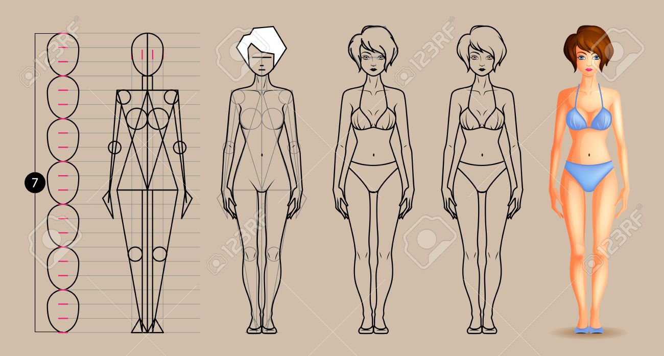 図面レッスン女性の身体 のイラスト素材 ベクタ Image