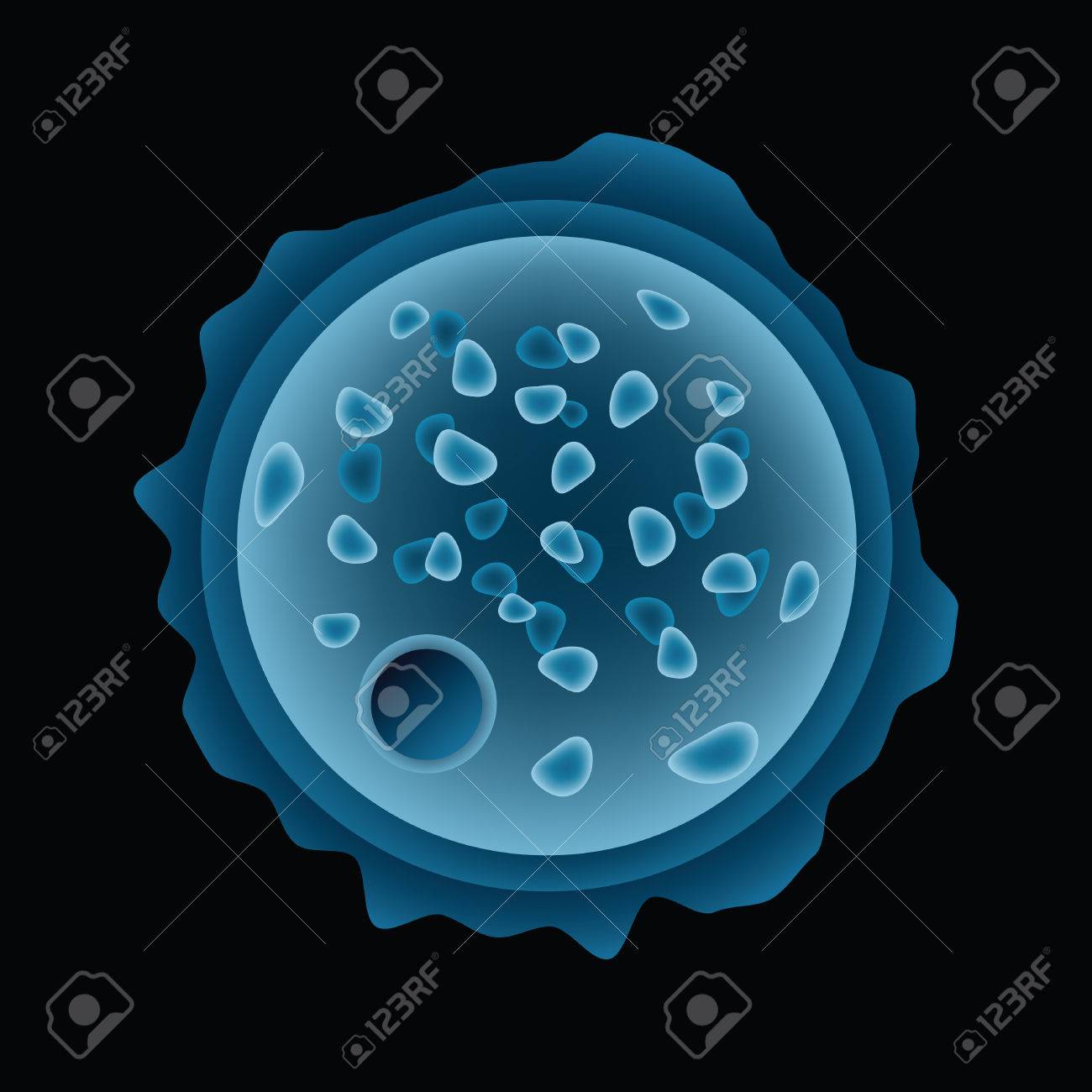 a cartoon scan of a microscopic amoeba royalty free cliparts