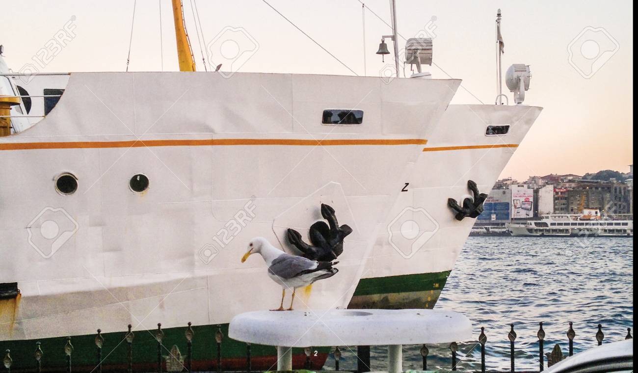 etiam-dictum-ipsum-a-felis