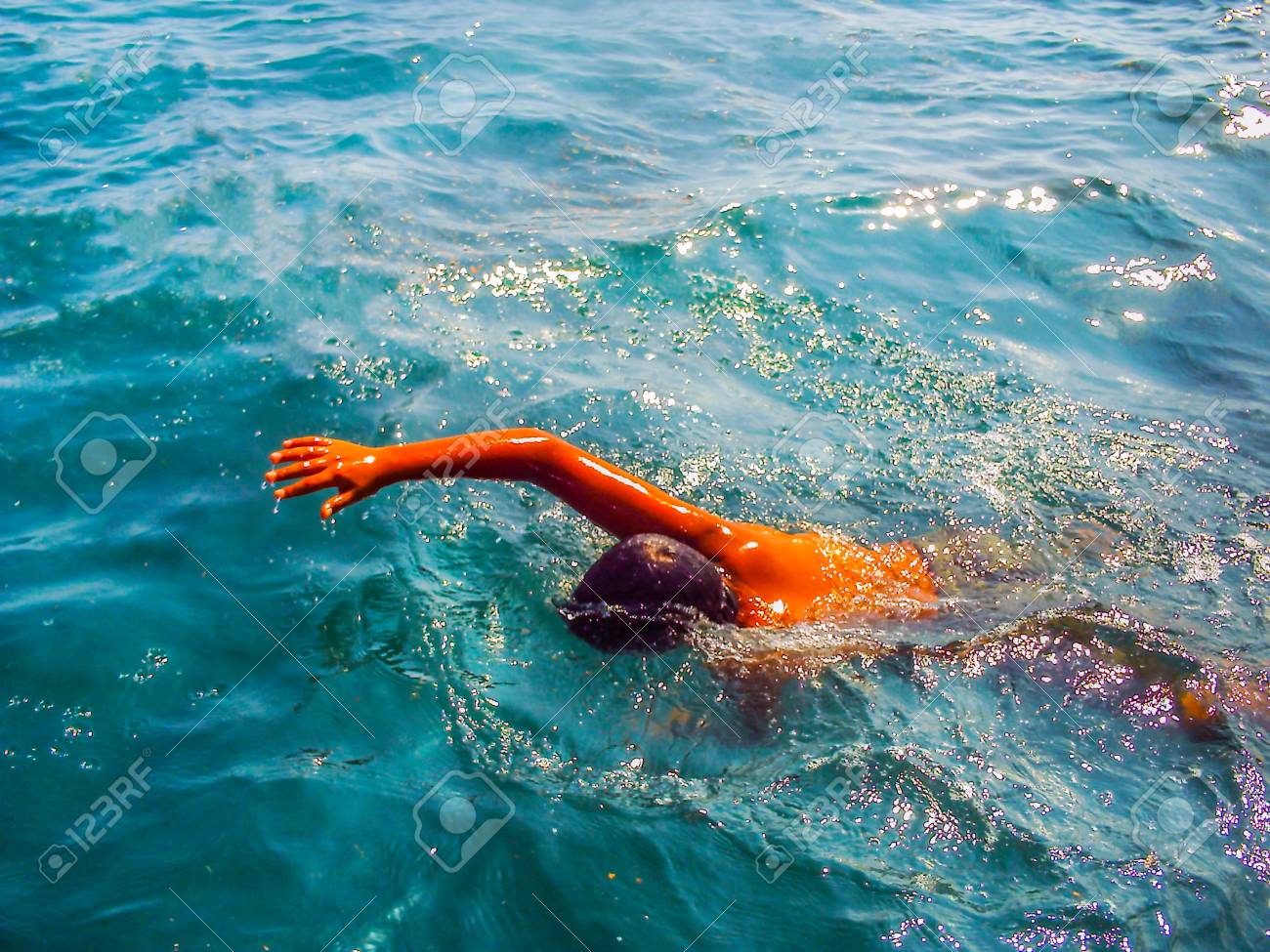 etiam-dictum-ipsum-a-felis