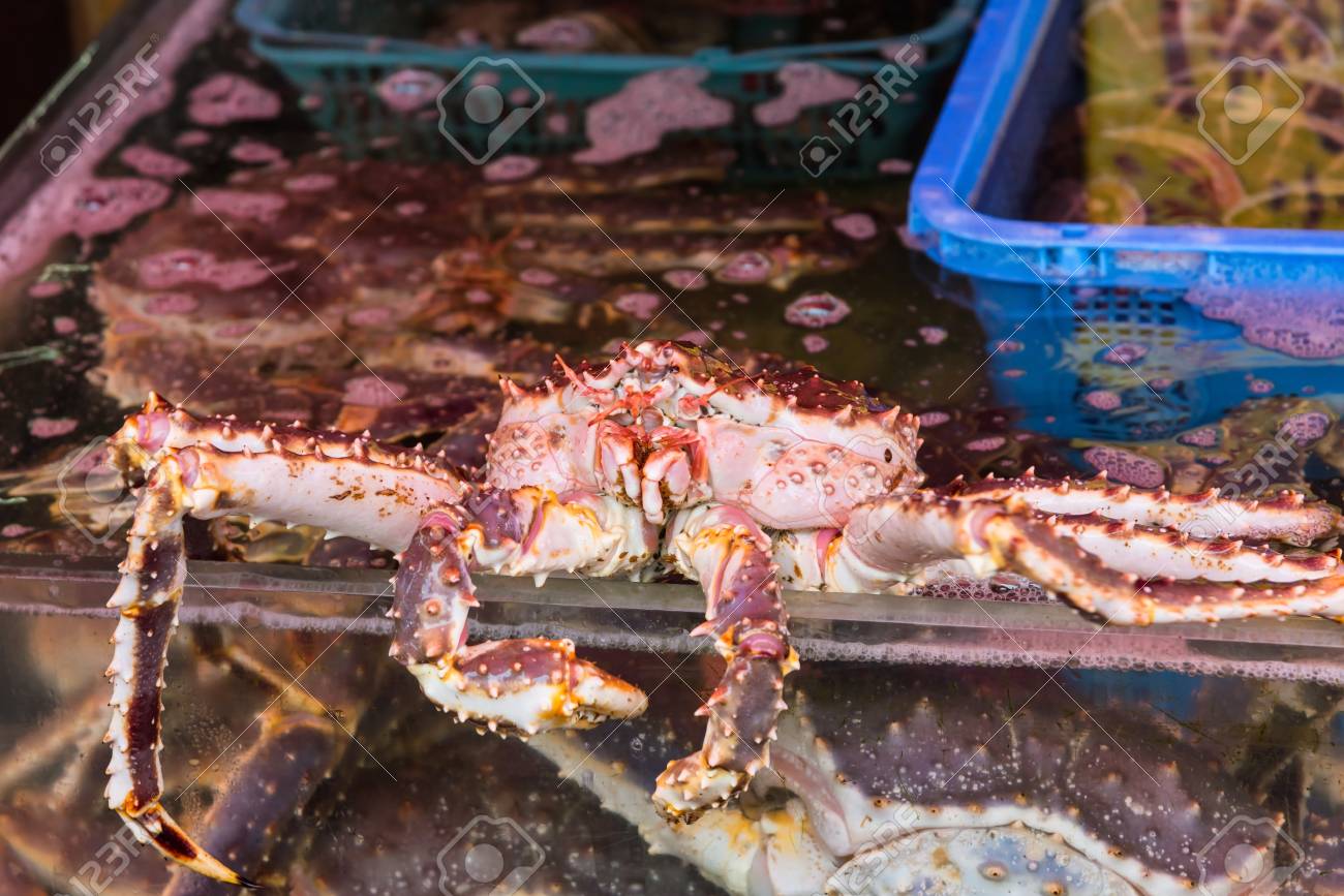 タラバ蟹海王カニ函館朝市で北海道 の写真素材 画像素材 Image