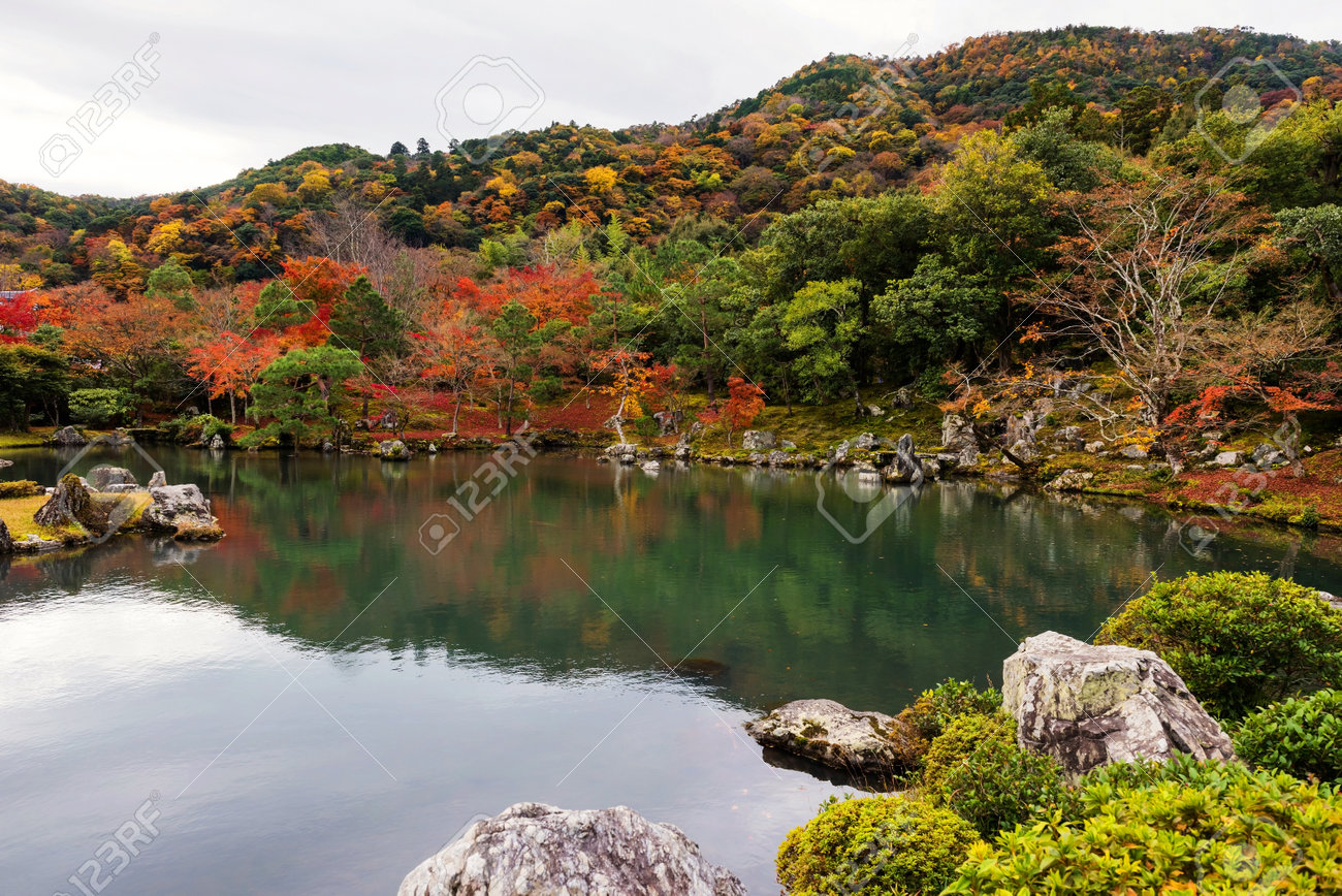 Autumn Foliage At Zen Garden In Tenryu Ji Temple Arashiyama Stock Photo Picture And Royalty Free Image Image