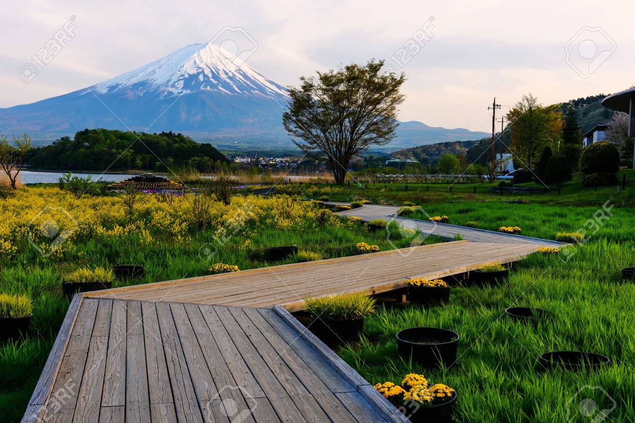 Oishi Garden Park At Spring With Mt Fuji View At Dusk Lake Stock Photo Picture And Royalty Free Image Image 84118616