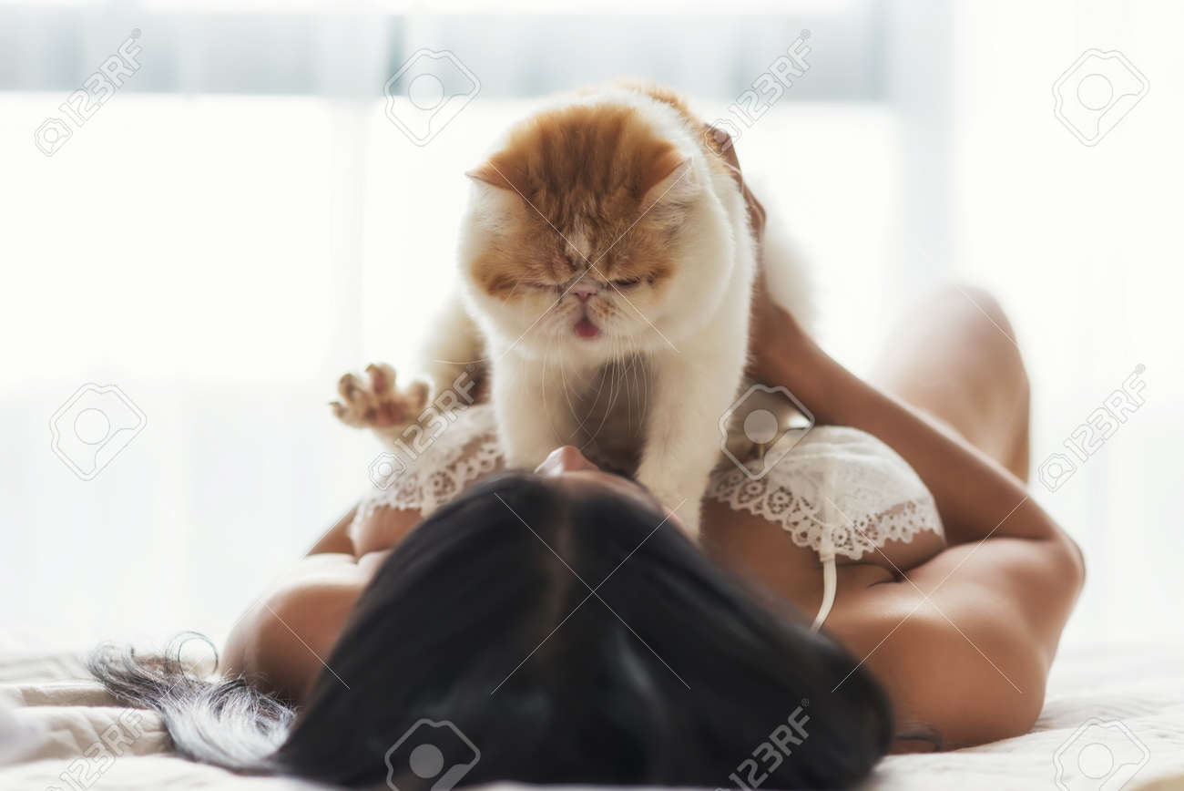 Sexy Girl With Big Boobs Hold And Cuddle Yellow Exotic Shorthair Cat On Bed  In Bedroom. Woman In Lingerie Pajama Play With Pet. Stock Photo, Picture  and Royalty Free Image. Image 172407721.