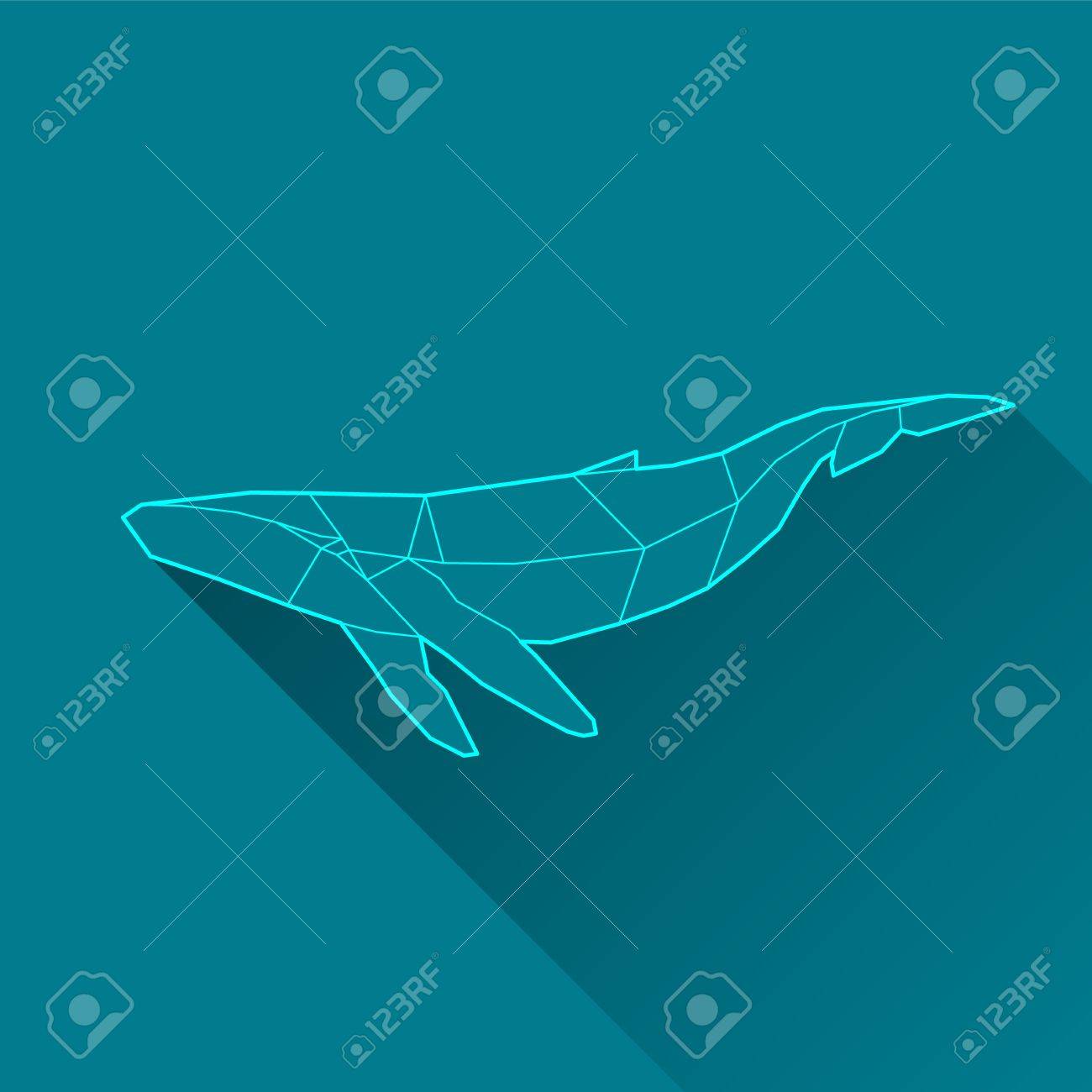 クジラの長い影が付いたワイヤ フレームのイラスト素材 ベクタ Image クジラの長い影が付いたワイヤ フレームのイラスト素材 ベクタ Image