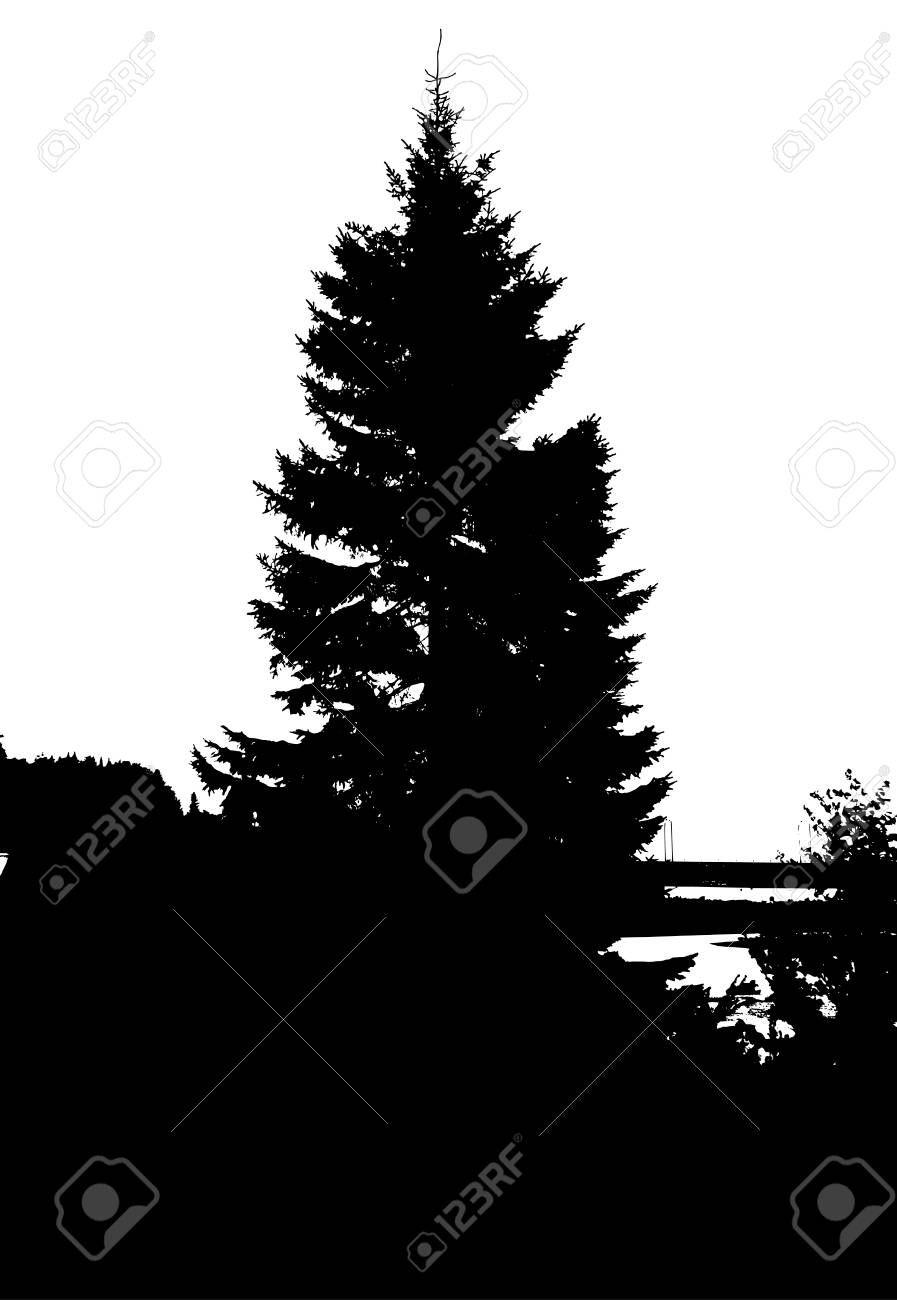 黒い森のシルエット 白い背景に分離 のイラスト素材 ベクタ Image 黒い森のシルエット 白い背景に分離 のイラスト素材 ベクタ Image