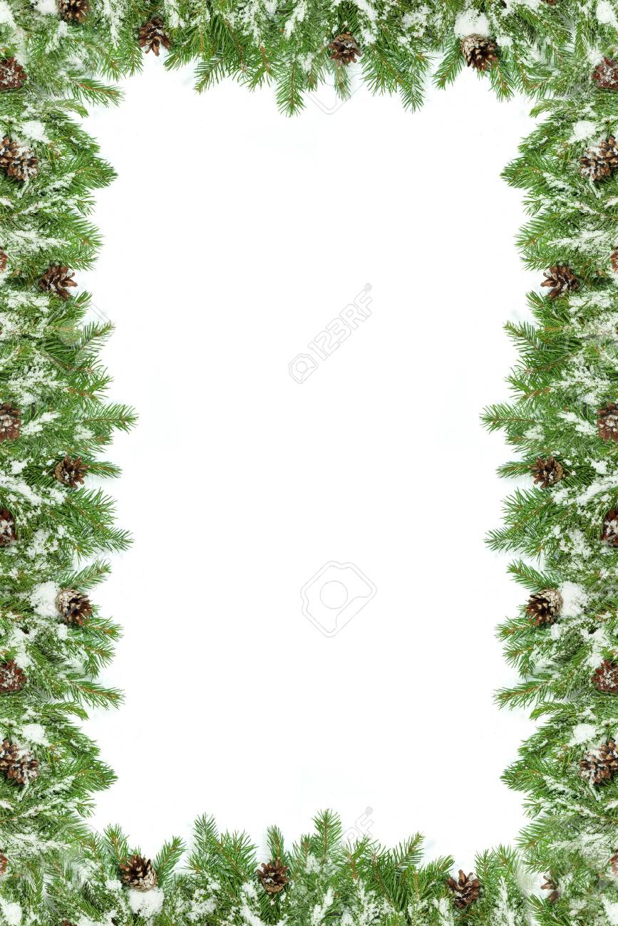 Christmas Background With Snow, And Cones Isolated On White Stock Photo,  Picture and Royalty Free Image. Image 16800450., image size:867x1300