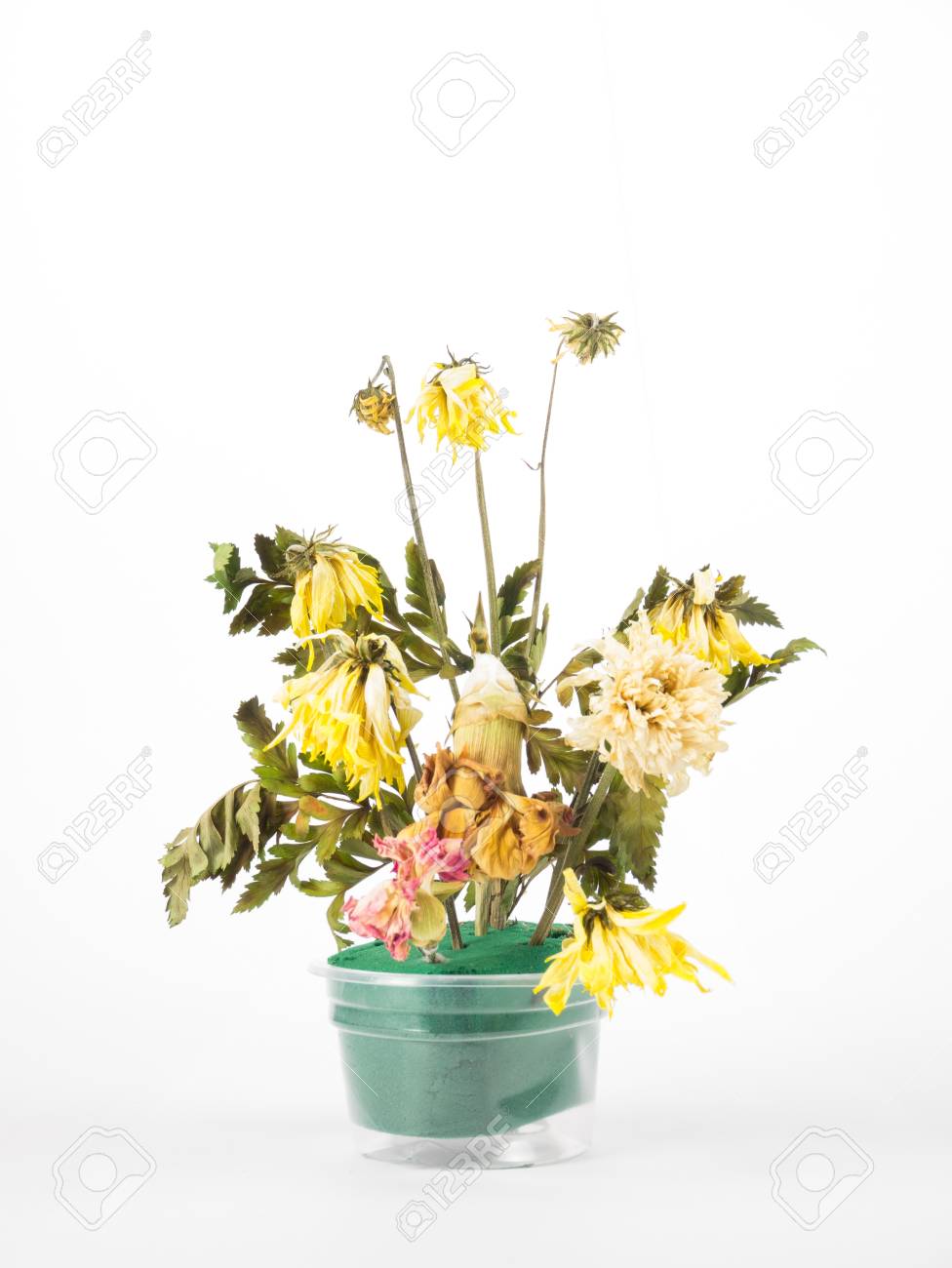 Bouquet De Fleurs Séchées Dans Une Tasse