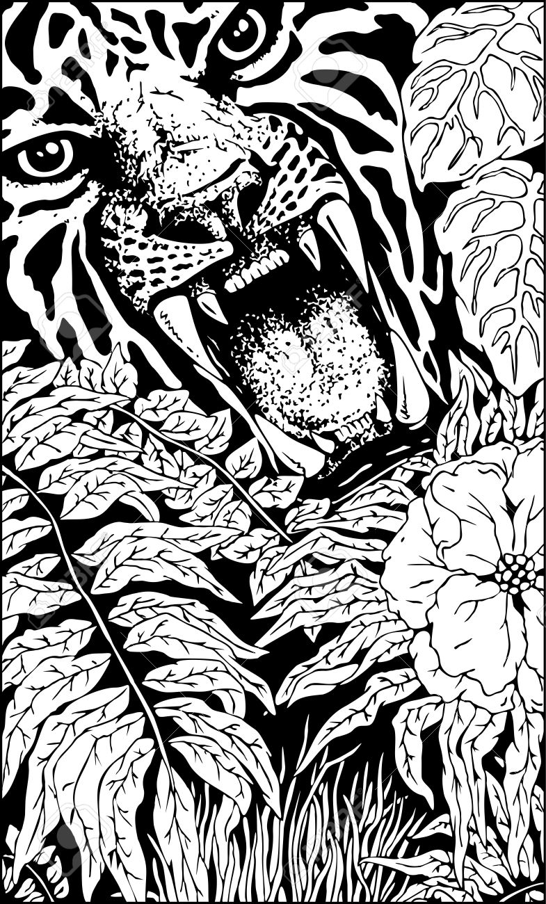 wild tiger roar doodle