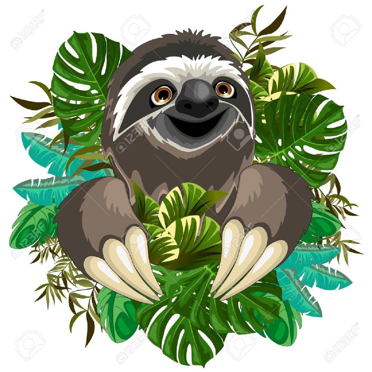 sloth cartoon on tropical