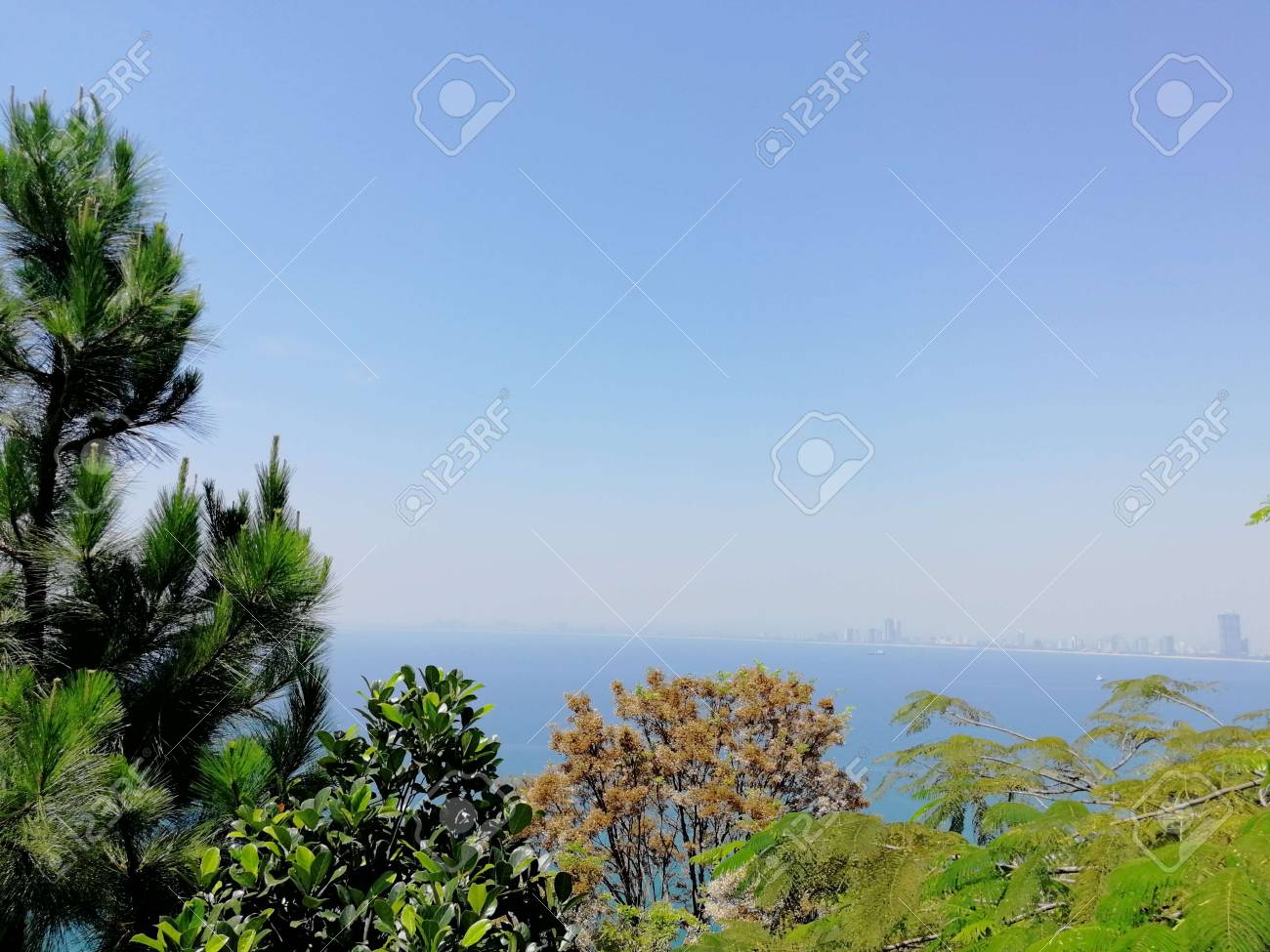 etiam-dictum-ipsum-a-felis