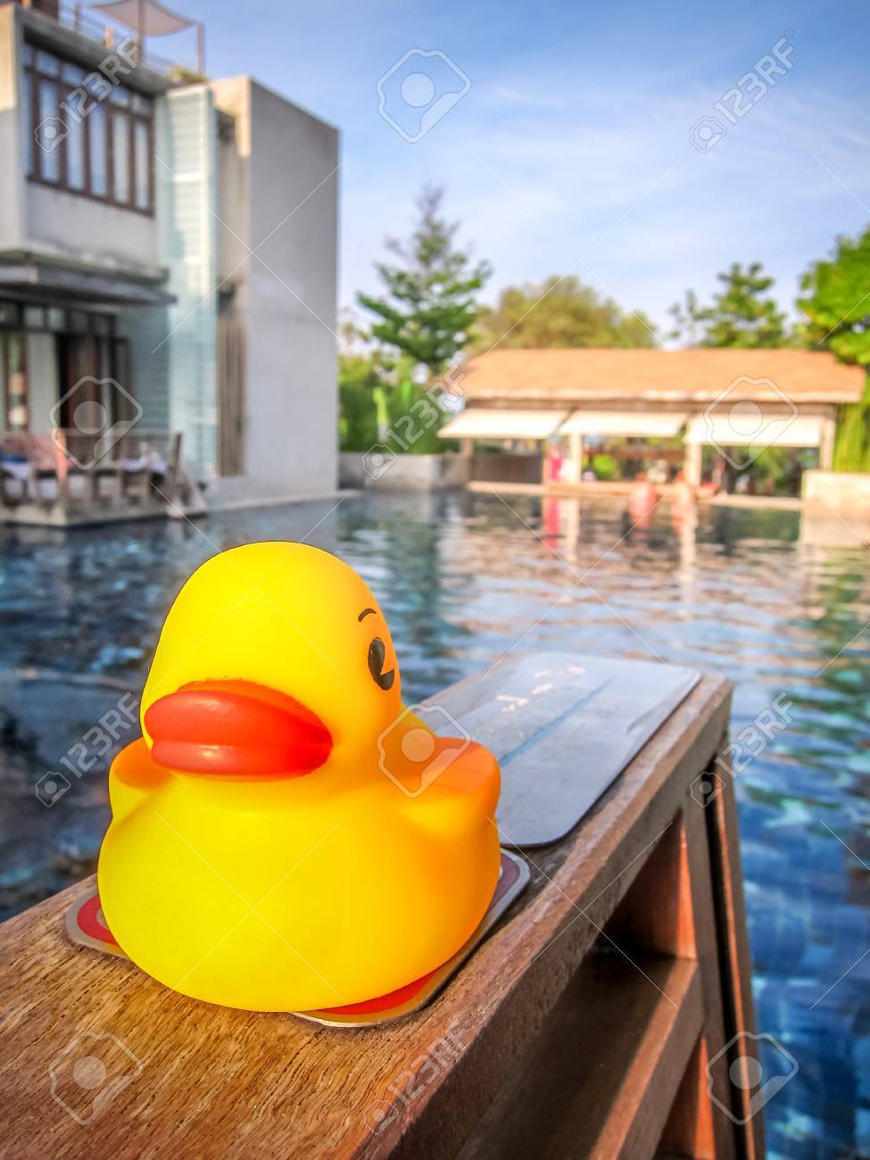 large rubber duck for pool