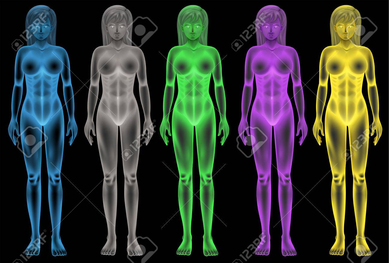 女性の色の体の図 のイラスト素材 ベクタ Image 女性の色の体の図 のイラスト素材 ベクタ Image