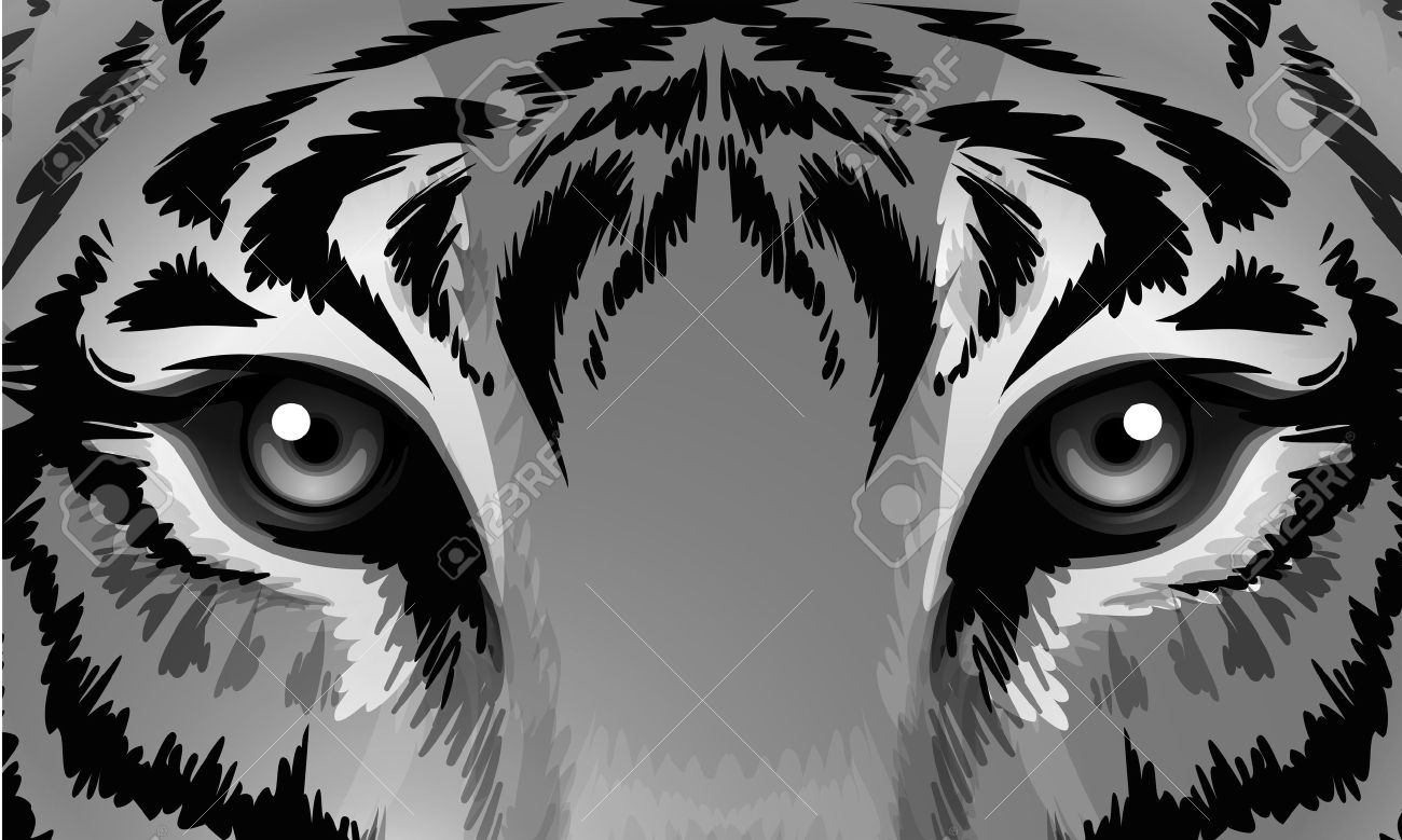 鋭い目を持つ虎図 のイラスト素材 ベクタ Image