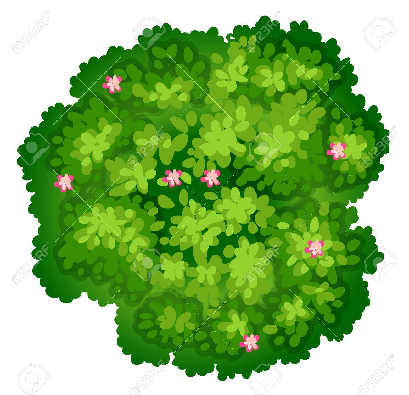 白い背景の上の植物の鳥瞰図のイラスト のイラスト素材 ベクタ Image