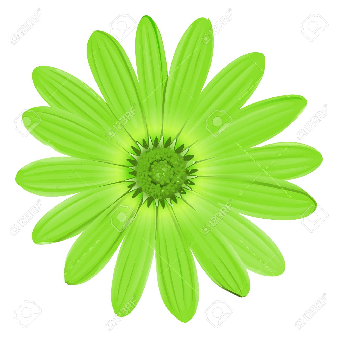 Illustration Of A Green Flower Royalty Free Cliparts Vectors And Stock Illustration Image