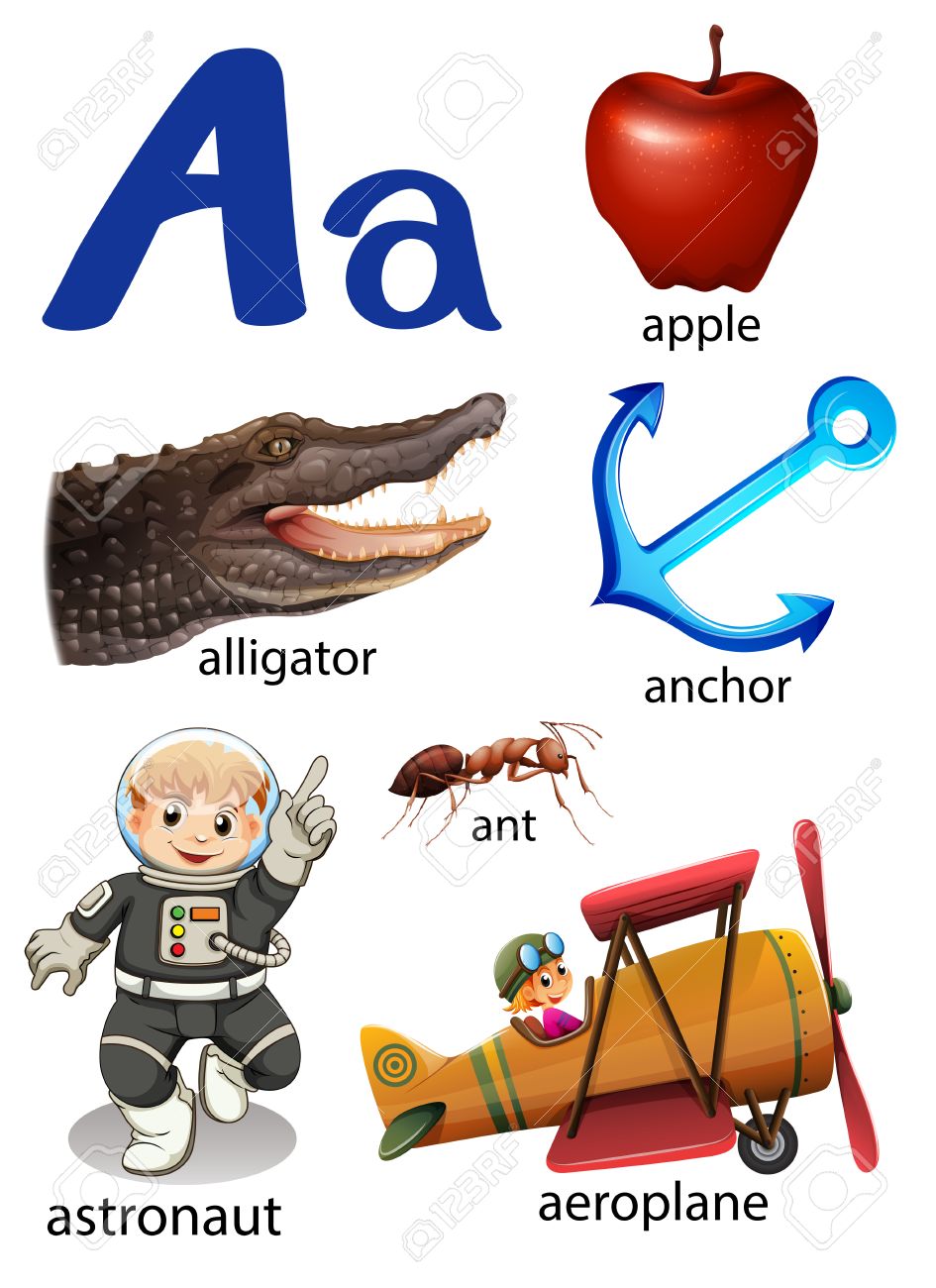things that start with the letter a on a white background royalty