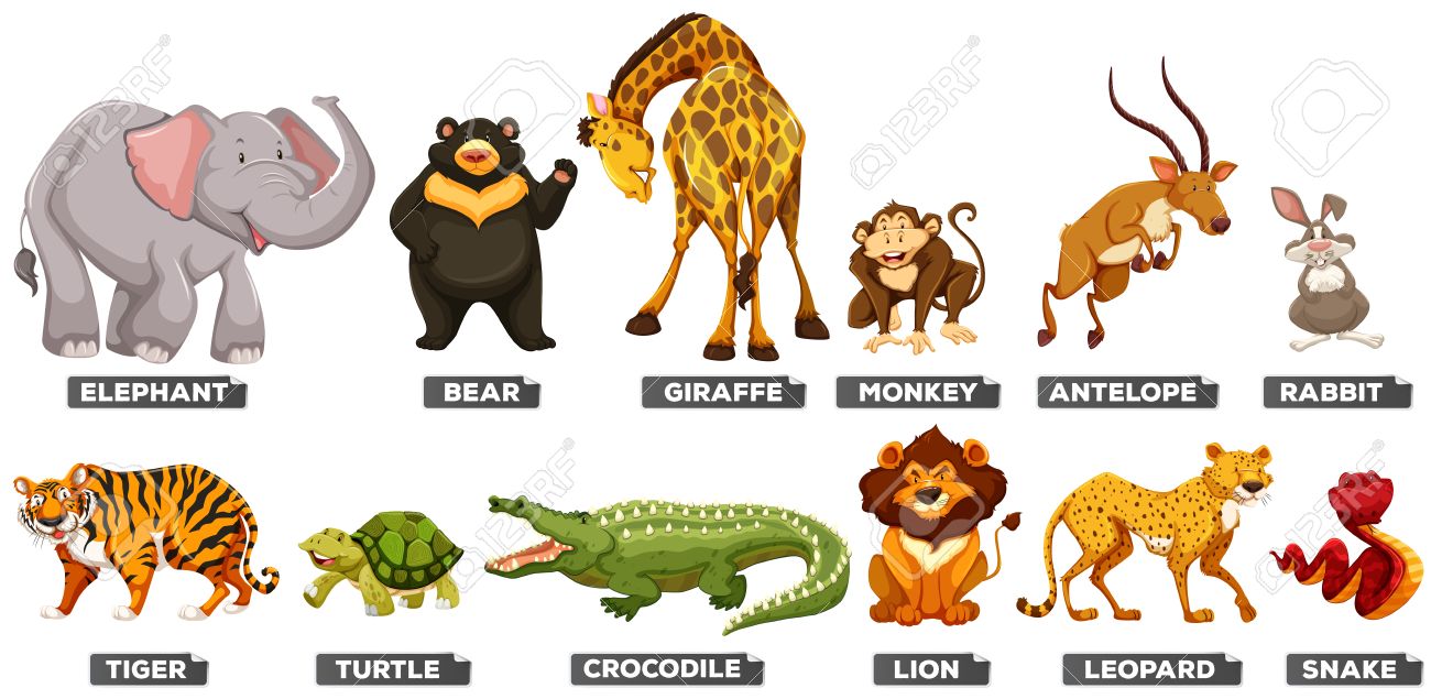 wild animals in many types illustration royalty free cliparts types of animals