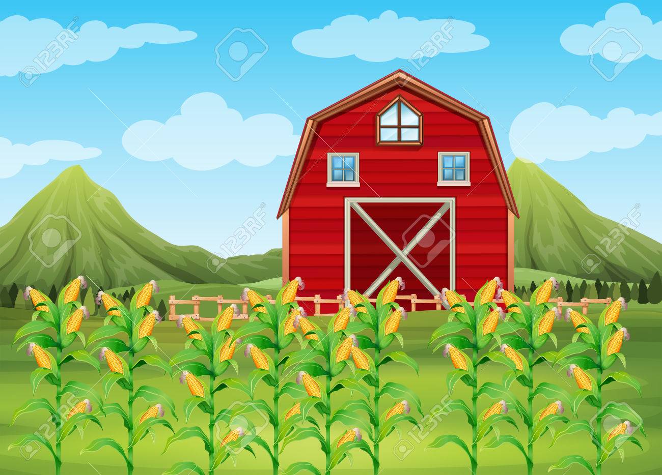 field of corn and red barn illustration royalty free cliparts barn illustrationer