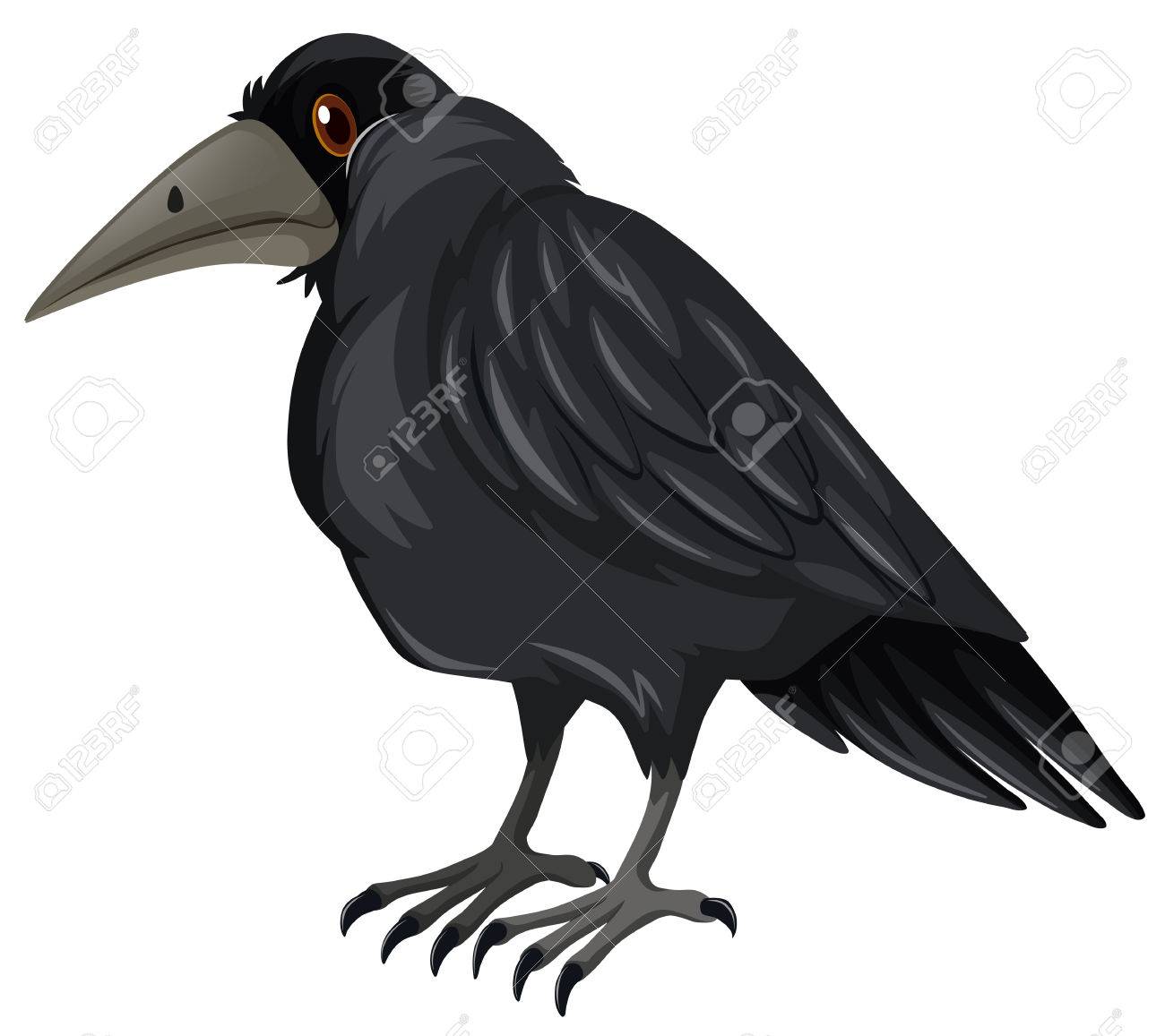 Schwarze Krahe Die Auf Weissem Hintergrund Illustration Lizenzfrei Nutzbare Vektorgrafiken Clip Arts Illustrationen Image 55195986