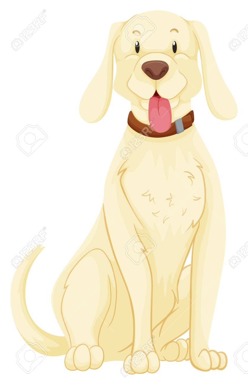 ペット犬の白い毛皮のイラストのイラスト素材 ベクタ Image