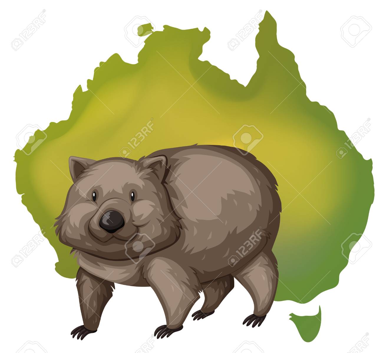 ウォンバットやオーストラリア地図イラスト のイラスト素材 ベクタ Image