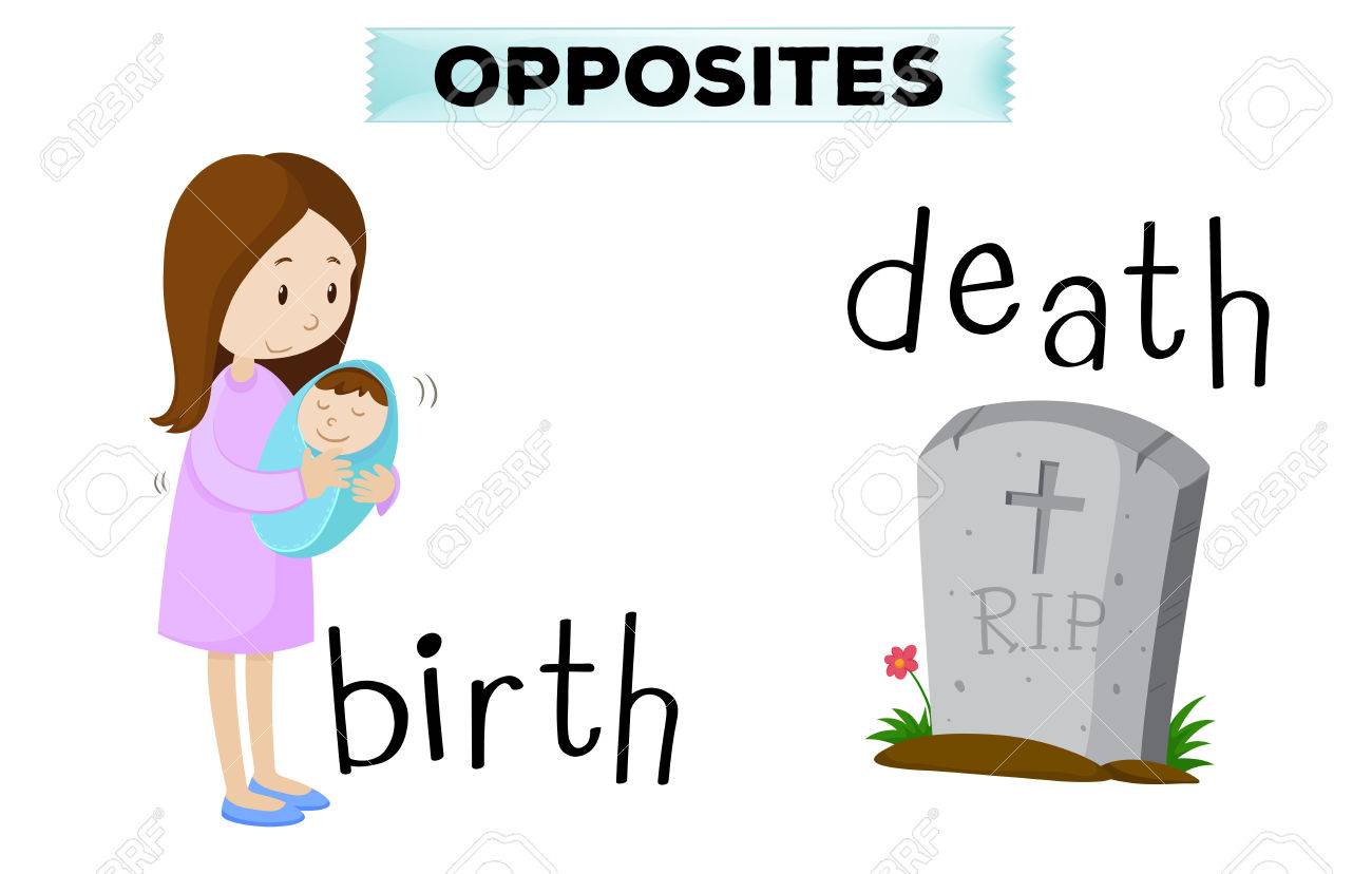 opposite flashcard for birth and death illustration royalty free birth plan clipart