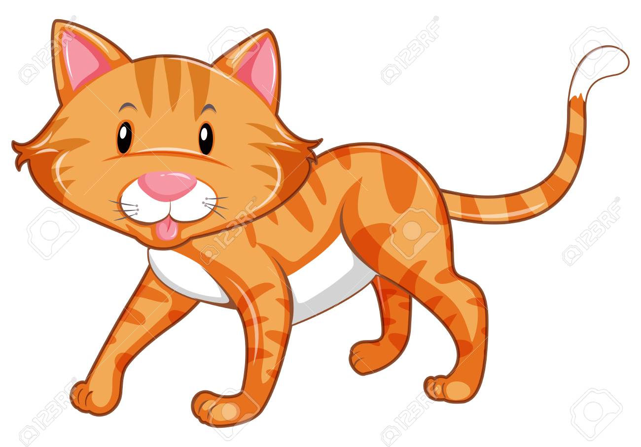 薄茶色の猫の白背景イラストの上を歩くのイラスト素材 ベクタ Image