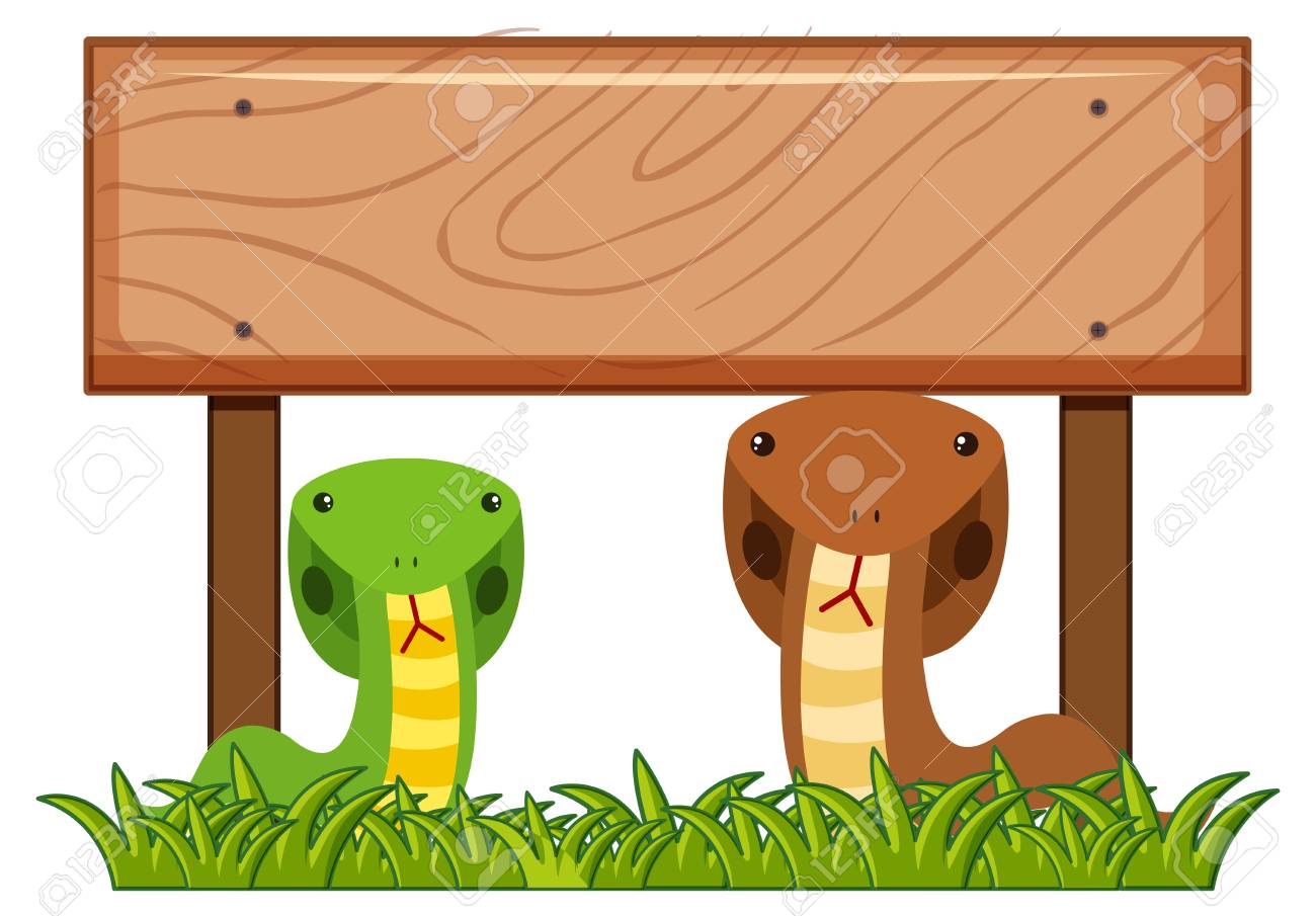 wooden sign template with two snakes underneath illustration royalty