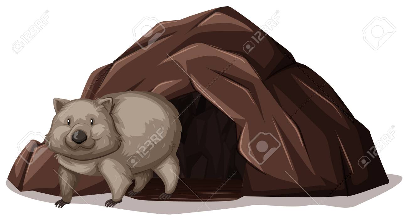 洞窟のイラストから出て行くウォンバット のイラスト素材 ベクタ Image