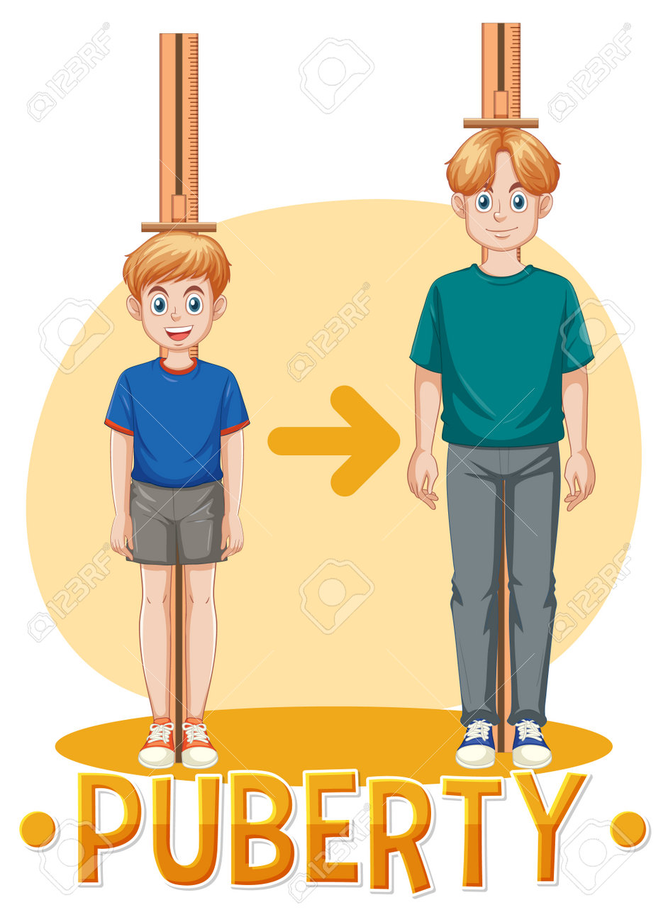 Скуючик мери мальчик. Growth his. Развитие. Growth his. Рост человека в цифрах.