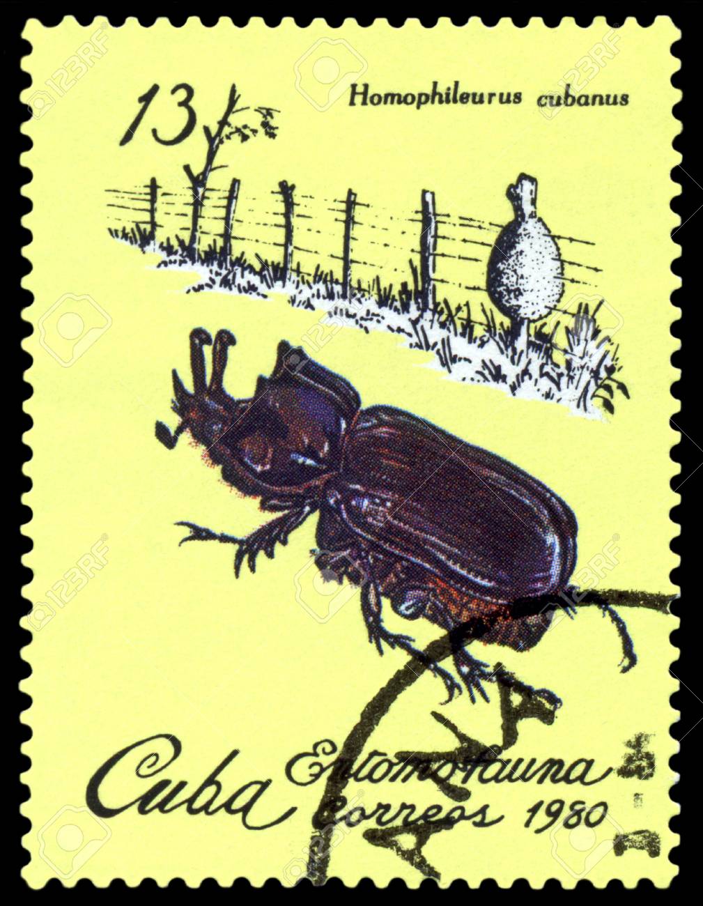 キューバ 1980 年頃 キューバ ショー カブトムシ Homophileurus Cubanus 1980 年頃のシリーズ昆虫によって印刷スタンプ の写真素材 画像素材 Image