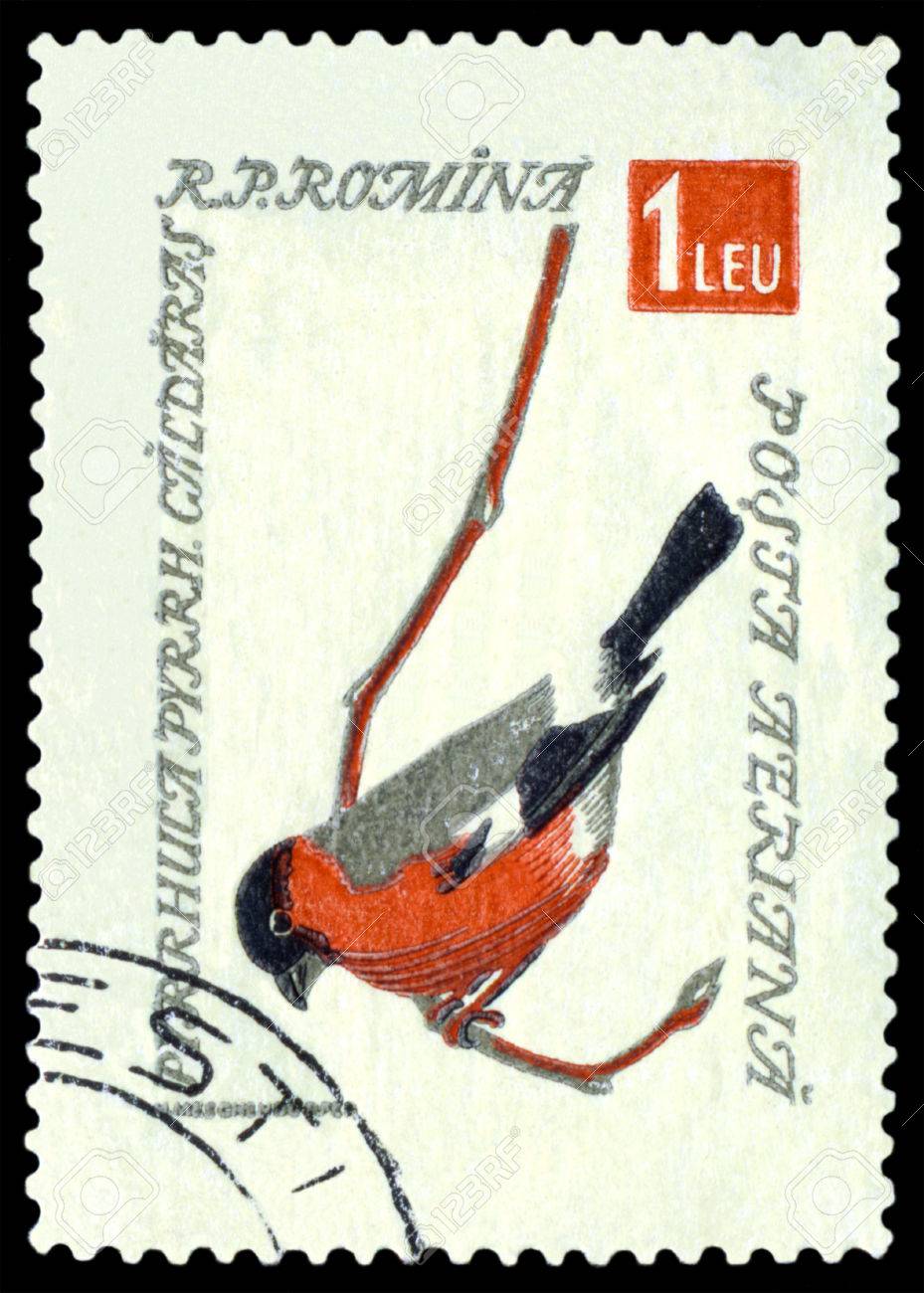 Roumanie Circa 1959 Timbre Imprimé Par La Roumanie Montre Oiseau Bouvreuil Pivoine Purhulla Purhulla De La Série Oiseaux Vers 1959