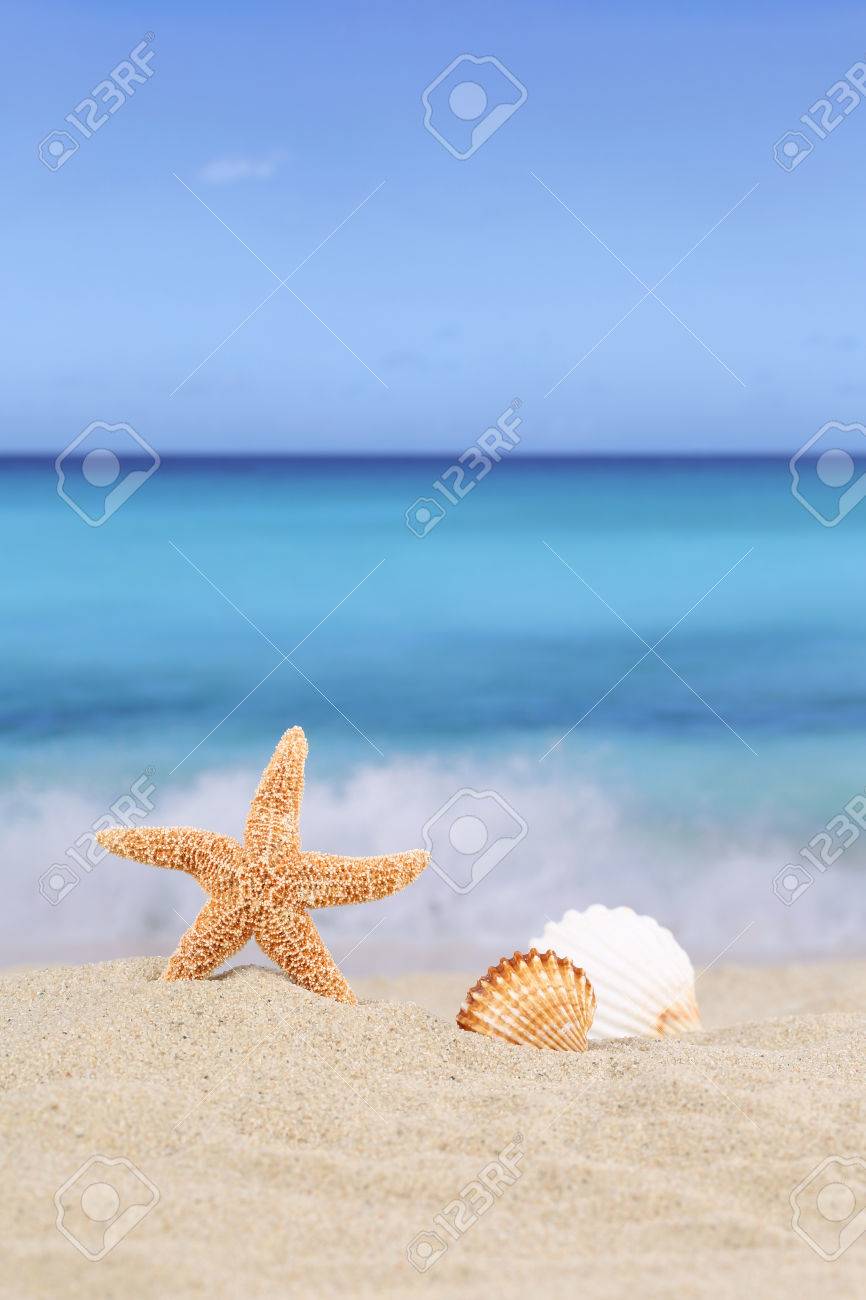 Strand Achtergrond Scene In De Zomer Vakantie Vakantie Met Zand, Schelpen En Sterren, Copyspace Royalty-Vrije Foto, Plaatjes, Beelden En Stock Fotografie. Image 41018690. Strand Achtergrond Scene In De Zomer Vakantie Vakantie Met Zand, Schelpen En Sterren, Copyspace Royalty-Vrije Foto, Plaatjes, Beelden En Stock Fotografie. Image 41018690.
